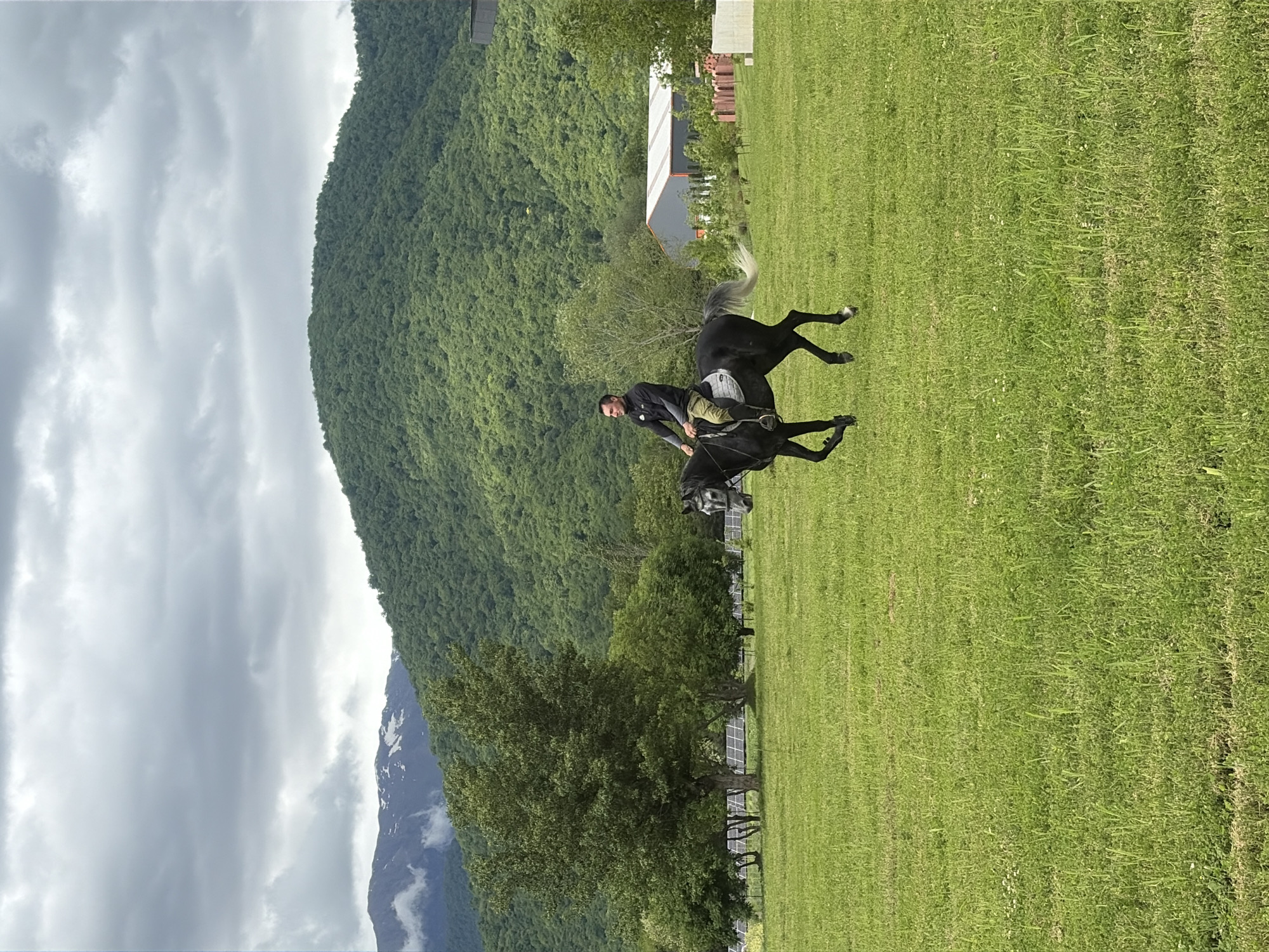 A man rides a black horse in a green field in Napareuli, Georgia, under a cloudy sky. The man wears dark clothing. The horse has a white tail. A tree line separates the field from a forested mountain. Behind the tree line, a light-colored building is visible.