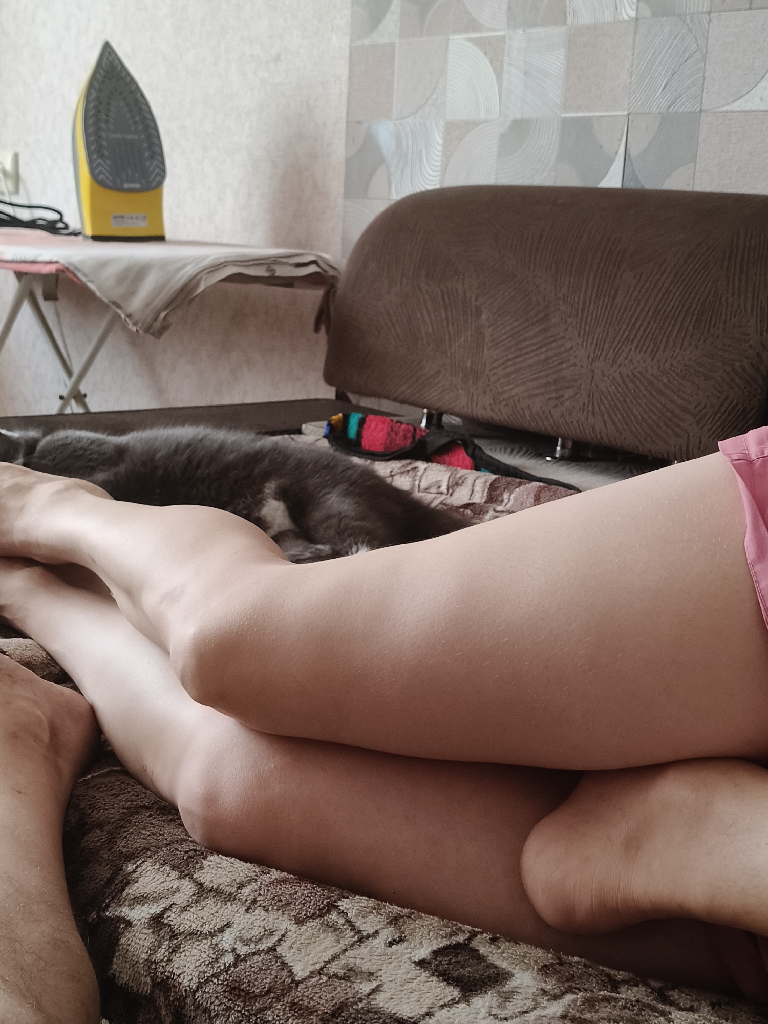 The image, taken indoors in an unknown city, shows a close-up view of a person's legs resting on a patterned blanket. A grey cat is lying on the blanket next to the legs, appearing to be asleep. In the background, a yellow ironing board with an iron on it is visible. A brown upholstered sofa is also present in the scene. The lighting suggests a domestic indoor setting, possibly a living room or bedroom.