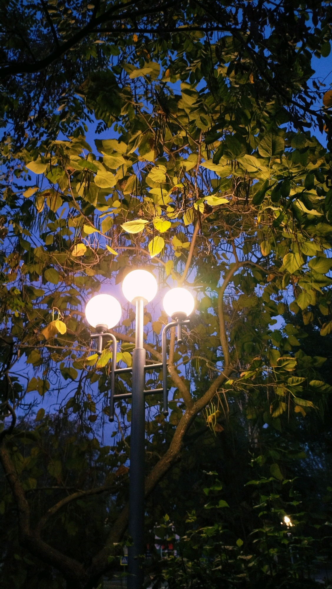 A street lamp with three spherical lights is shown against a backdrop of trees and a dark blue sky, likely at dusk or night. The lamp post is dark gray, and the lights are a bright white, illuminating the surrounding leaves, some of which are yellowing, suggesting autumn. The branches of the trees are visible, with some seed pods hanging down. The scene appears to be in a park or on a street in Horishni Plavni, Ukraine. There are no people or animals visible in the image. The lighting suggests an outdoor public space.