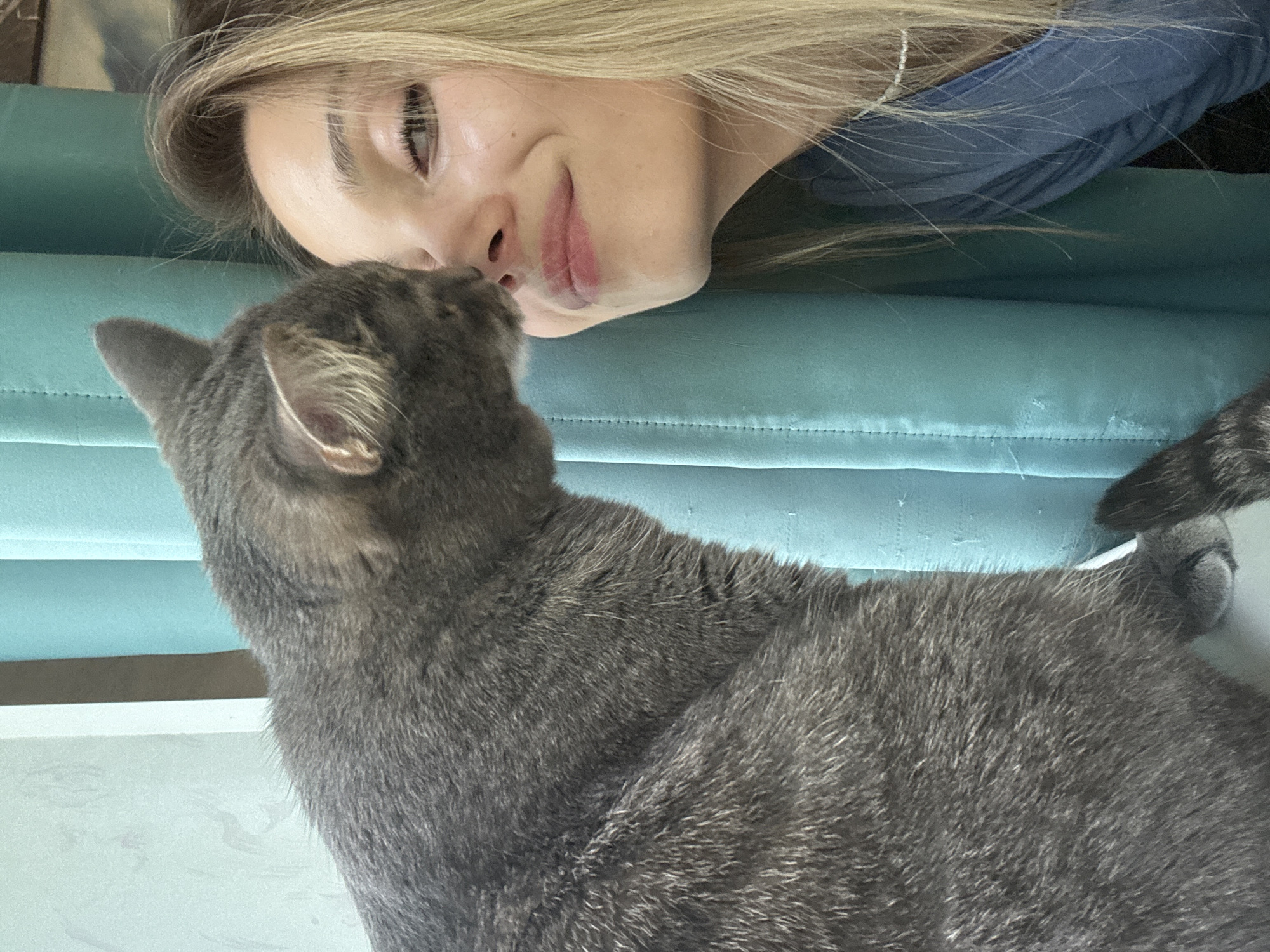 A close-up, eye-level shot shows a grey tabby cat gently nuzzling the nose of a young woman with blonde hair, who is smiling. The woman is wearing a blue shirt and has light makeup. They are positioned in front of a teal-colored curtain. The setting is indoors.