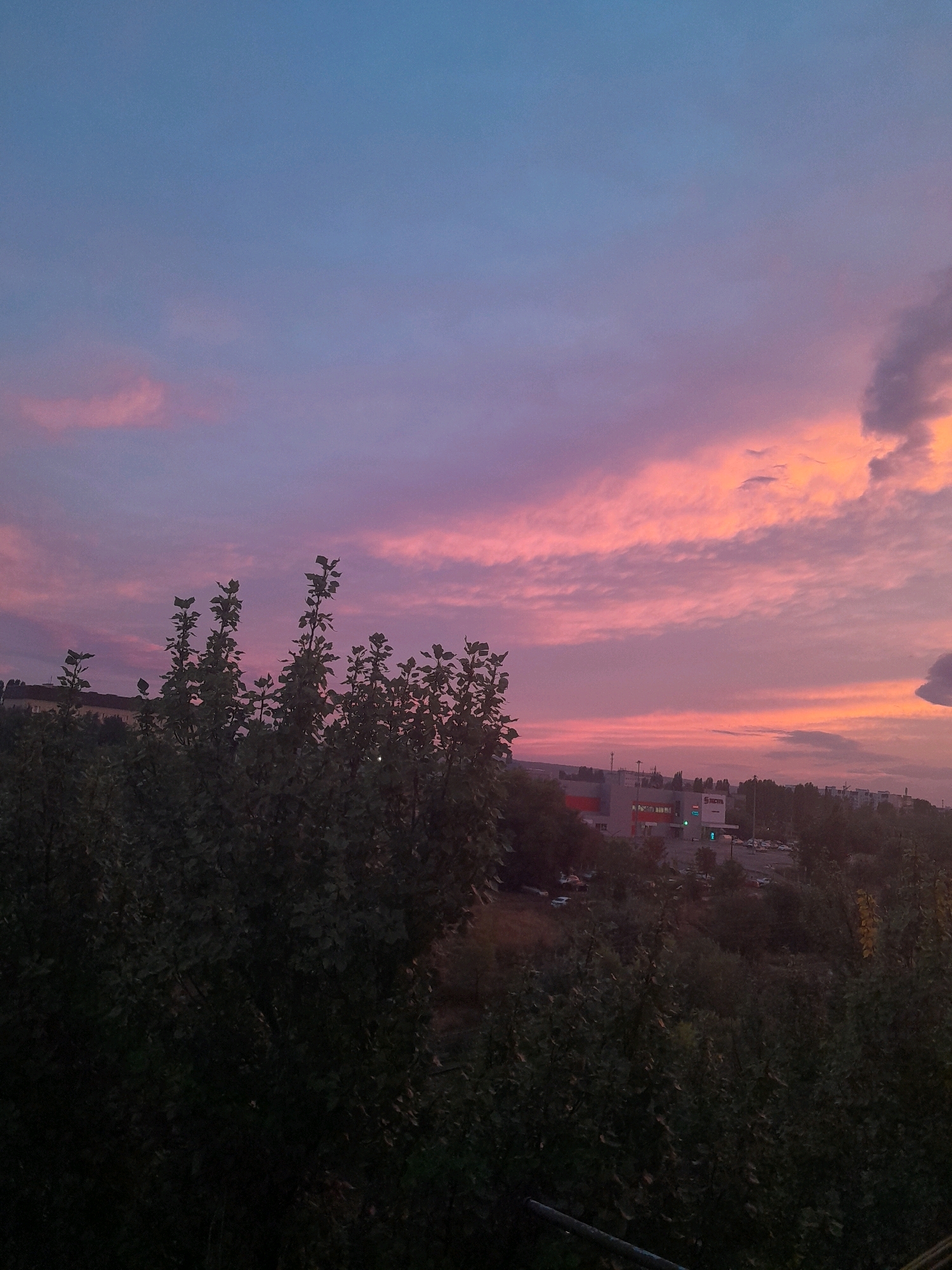 A wide shot captures a vibrant sunset over an urban landscape. The sky is a gradient of soft blues at the top, transitioning to hues of pink and orange as it descends towards the horizon. Wispy clouds are scattered across the sky, illuminated by the setting sun, creating streaks of color. In the foreground, dark silhouettes of trees and foliage dominate the lower portion of the image, their leaves creating a textured layer. Beyond the trees, a cluster of buildings is visible, including a large, multi-story structure with red and gray accents, possibly a commercial building or factory. Several cars are parked in a lot in front of this building. A few other buildings and hints of infrastructure, like streetlights or power lines, can be discerned in the middle ground. The overall scene suggests an evening view from an elevated position overlooking a town or city outskirts.