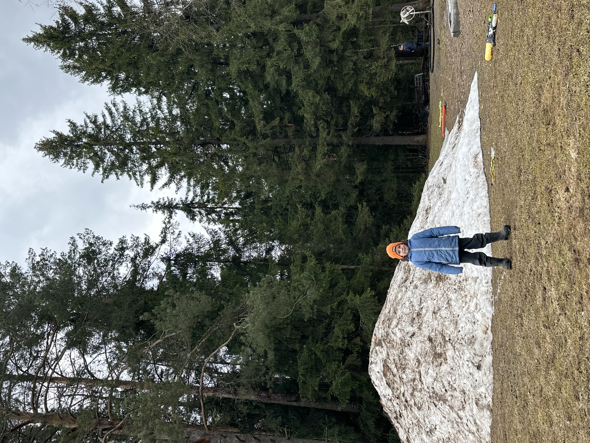 In an outdoor setting near Прикамский, Russia, a child wearing a blue jacket and an orange hat stands on a mound of snow situated between a grassy area and a dense forest of tall evergreen trees. The sky is overcast. In the background, there are traces of human activity, including what appears to be equipment and another person further away. The environment indicates a transition between winter and spring.