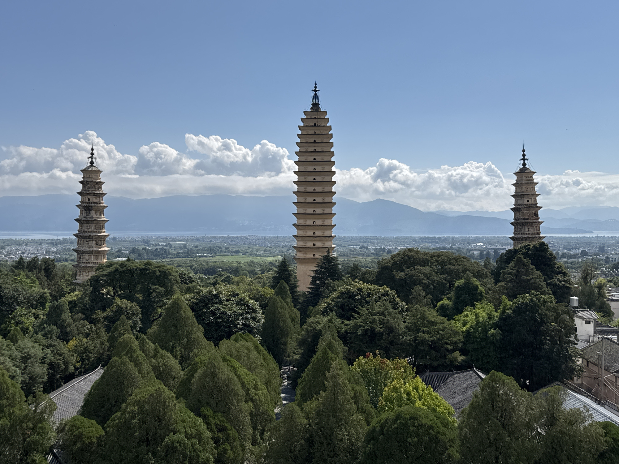 The image is a high-angle view of the Three Pagodas of Chongsheng Temple, located in Dali City, China. In the foreground, a dense forest of various green trees, including cypress-like evergreens and deciduous trees, fills the lower half of the frame. Some traditional Chinese-style tiled roofs are visible peeking through the foliage.
Dominating the midground and background are the Three Pagodas, ancient Buddhist structures that are the primary subject. The central pagoda is the tallest and most elaborately decorated, with many tiers and a pointed spire. To its left and right are two slightly smaller pagodas, also with multiple levels and decorative elements.
Beyond the pagodas, a wide expanse of flat land stretches towards distant mountains. This area appears to be agricultural fields or parkland, with some scattered buildings and a hint of a city or town. The sky above is a bright blue, dotted with fluffy white cumulus clouds. The overall impression is of a clear, sunny day with good visibility. There are no people or animals visible in the image. The pagodas are made of stone or brick and appear weathered, indicating their age. The surrounding vegetation is lush and verdant.
