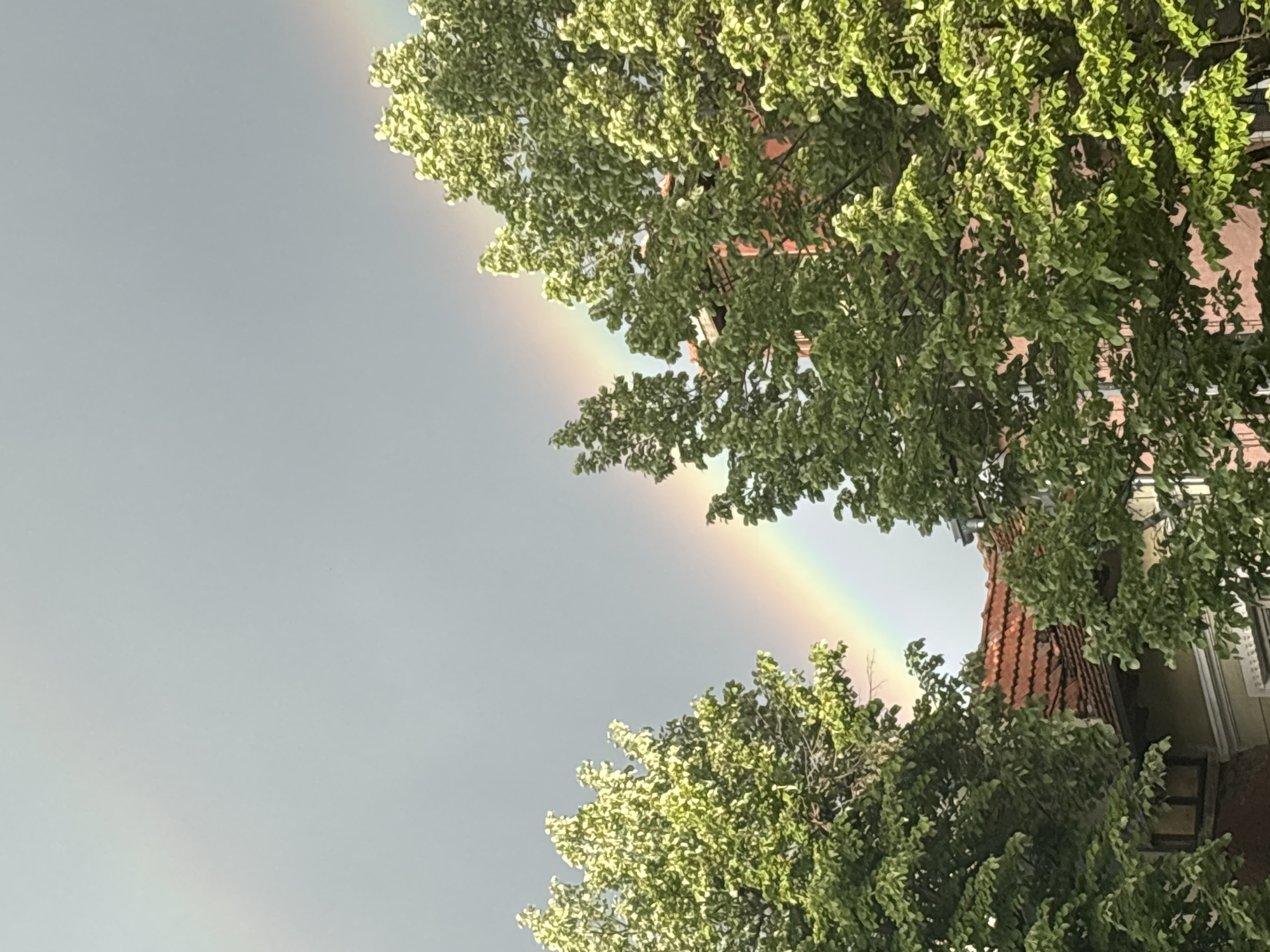 The image depicts a rainbow in the sky, framed by trees. The buildings are visible behind the trees. The location is Veliko Tarnovo, Bulgaria.