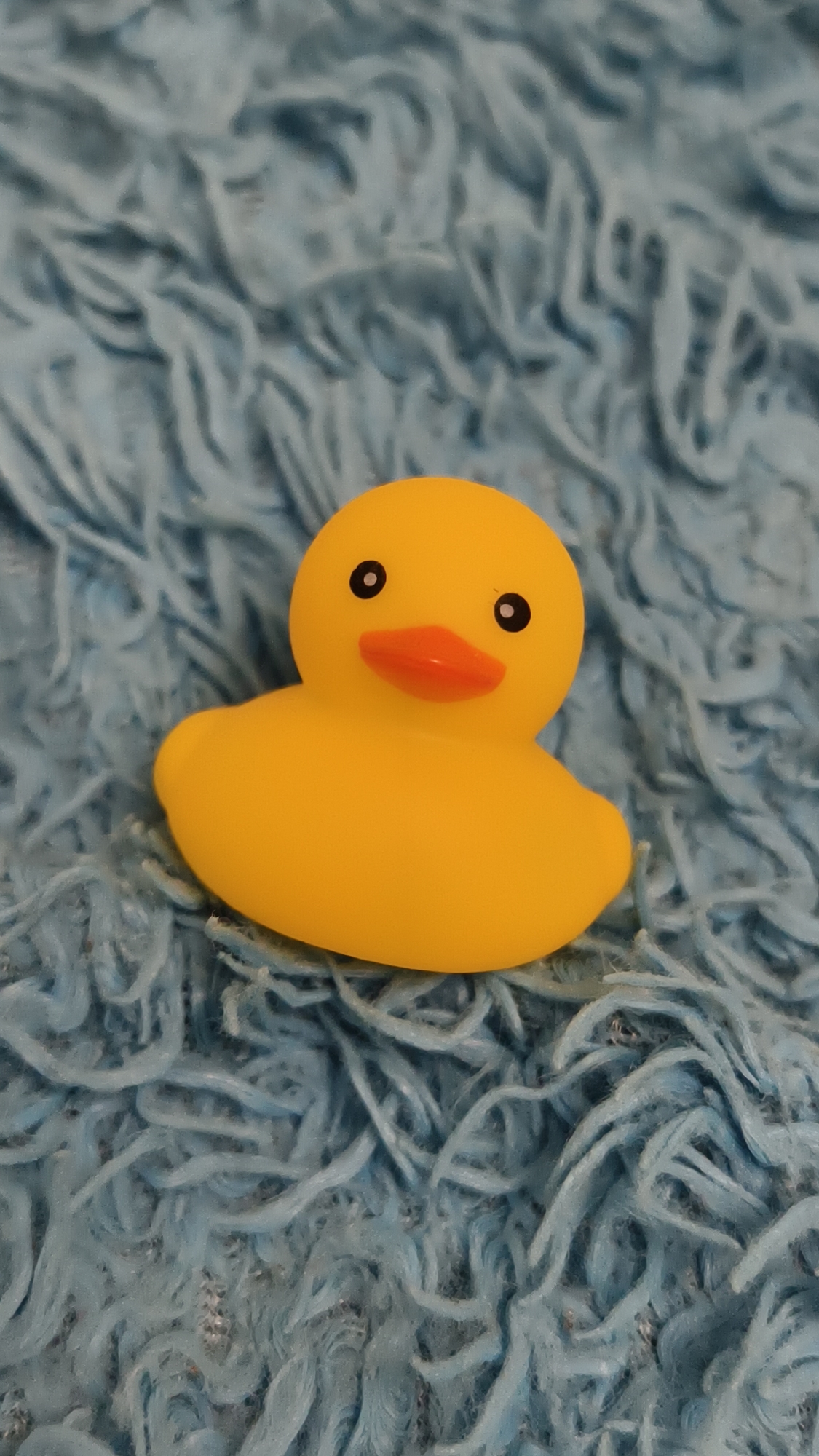 A bright yellow rubber duck is centered on a textured blue fuzzy surface, possibly a blanket or carpet. The duck has black eyes and an orange beak. The lighting suggests an indoor setting. There is no indication of the location being Minsk, Belarus.