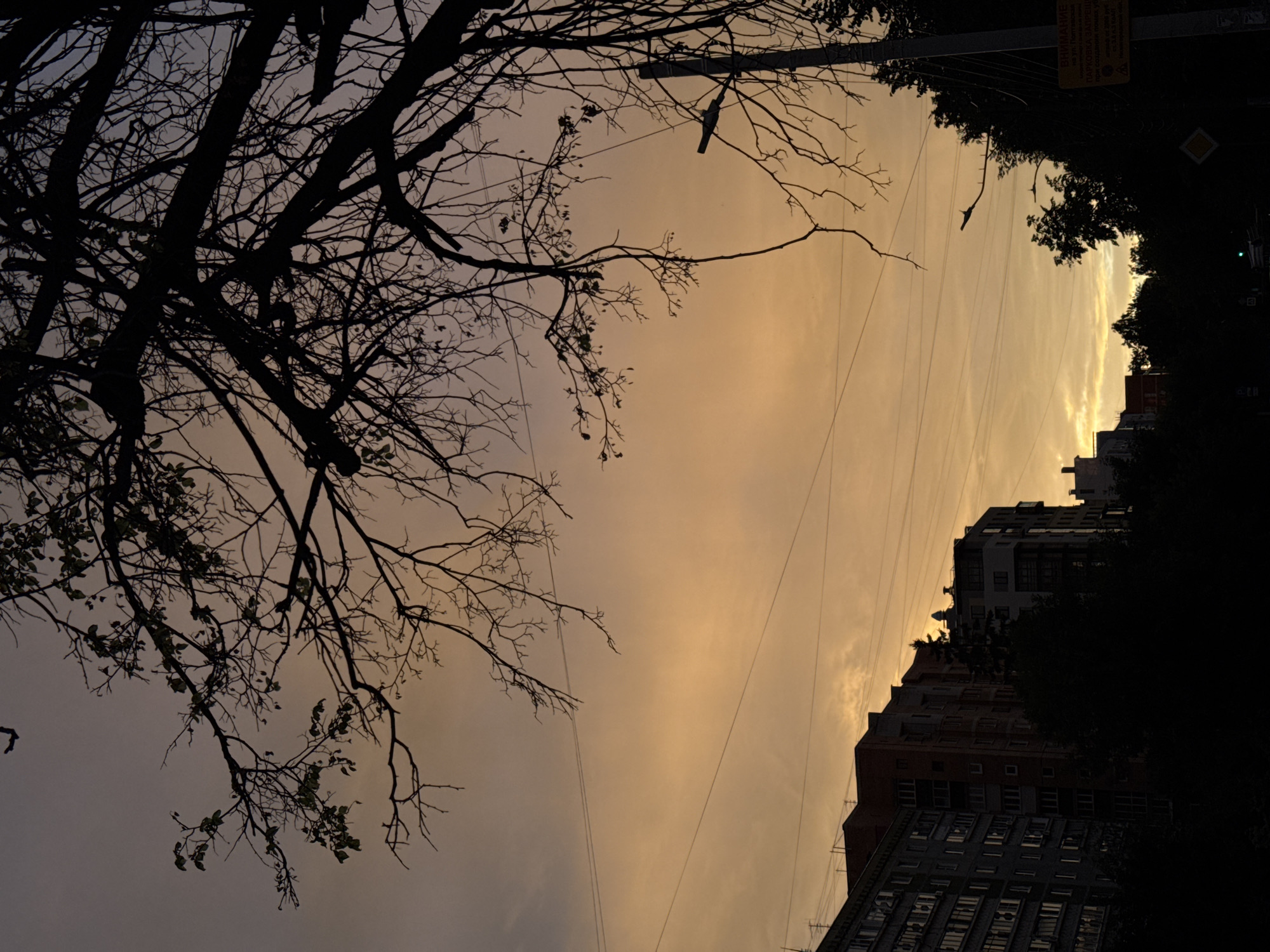 The image depicts a city skyline at dusk, with buildings silhouetted against a warm, orange sky. A large, bare tree branch with a few remaining leaves extends from the upper right corner of the frame, casting a dark shadow. Power lines are visible stretching across the sky. In the lower left, the facades of several apartment buildings are visible, their windows dark. In the foreground, more trees and a utility pole with a warning sign are silhouetted in black. The sign appears to be in Russian. The overall atmosphere is one of a quiet evening in an urban environment.