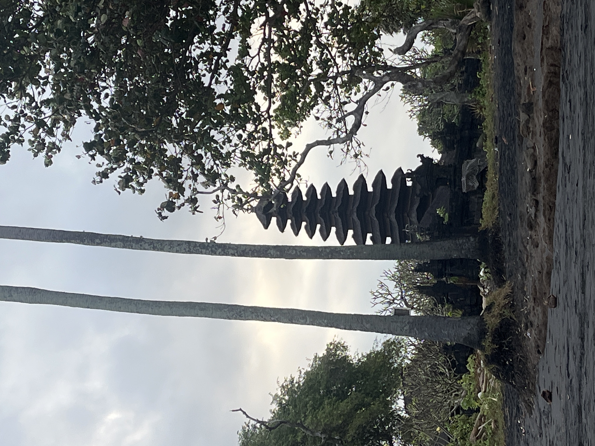 The image shows a tiered temple structure made of dark stone, possibly volcanic rock, set against a cloudy sky. Two tall, slender palm trees are positioned in the foreground, their trunks obscuring parts of the temple. To the right, a dense tree with dark green foliage partially covers the temple and the sky. The ground in front of the temple appears to be black sand, with some rocks and debris scattered on it. The overall impression is of a serene, possibly ancient, religious site, likely located in a tropical or subtropical environment. The temple's architecture suggests it is of Southeast Asian origin, with multiple roofs or levels stacked on top of each other. The lighting is diffused, indicating an overcast day. This temple is identified as Pura Dalem in Blahbatuh, Gianyar, Bali, Indonesia.