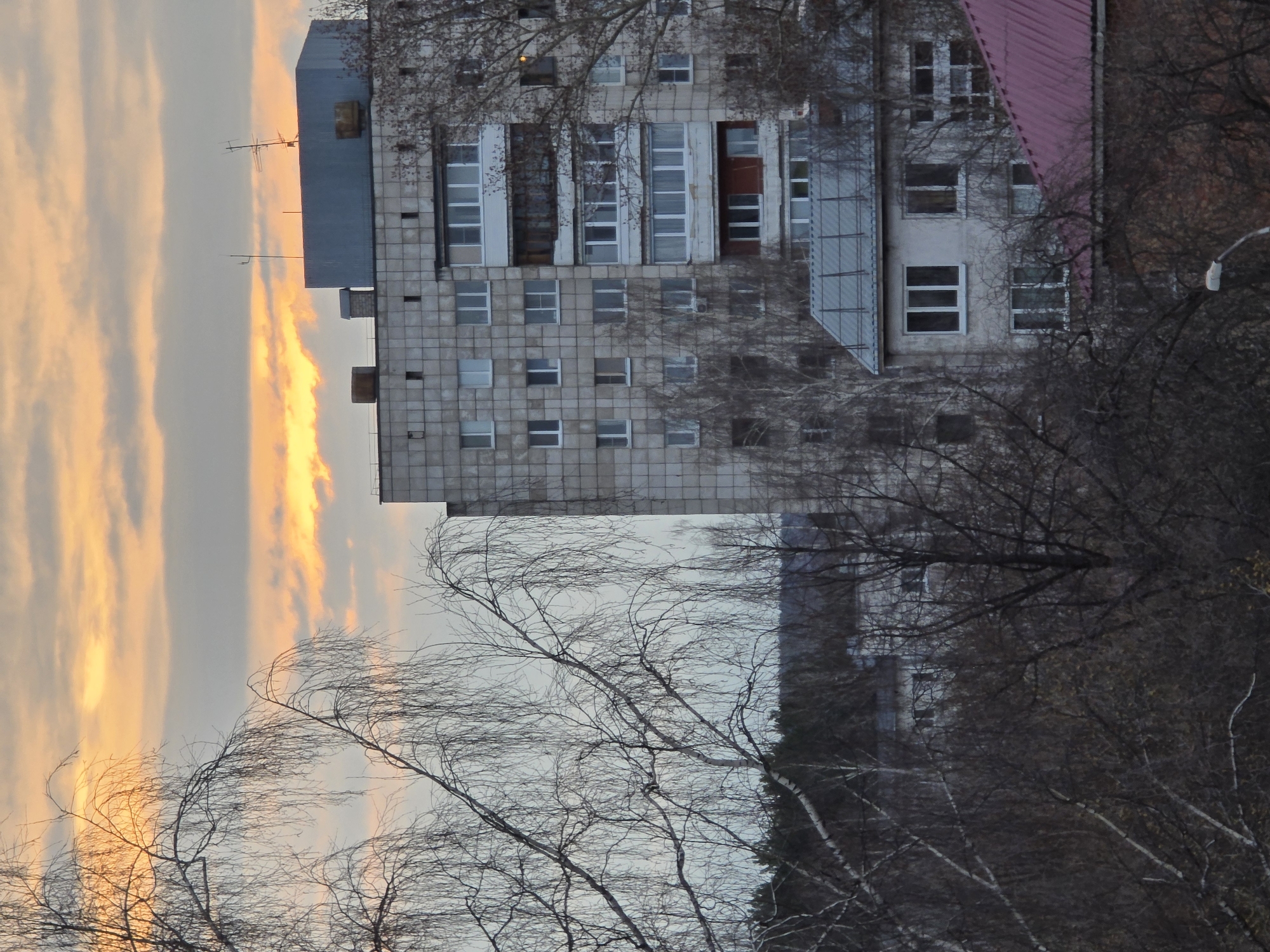 The image shows a street scene in Chaikovsky, Russia. A large, Soviet-era apartment building occupies the center of the frame, its facade made of grey, square tiles. The building has multiple windows, some with balconies. To the right of the apartment building, there is a house with a pink roof. In the foreground and partially obscuring the building are bare trees, suggesting it is autumn or winter. The sky in the background is filled with clouds, and there is a vertical streak of golden light, likely from the setting sun. The scene is bathed in a cold, muted light. The image is taken from a slightly elevated position.