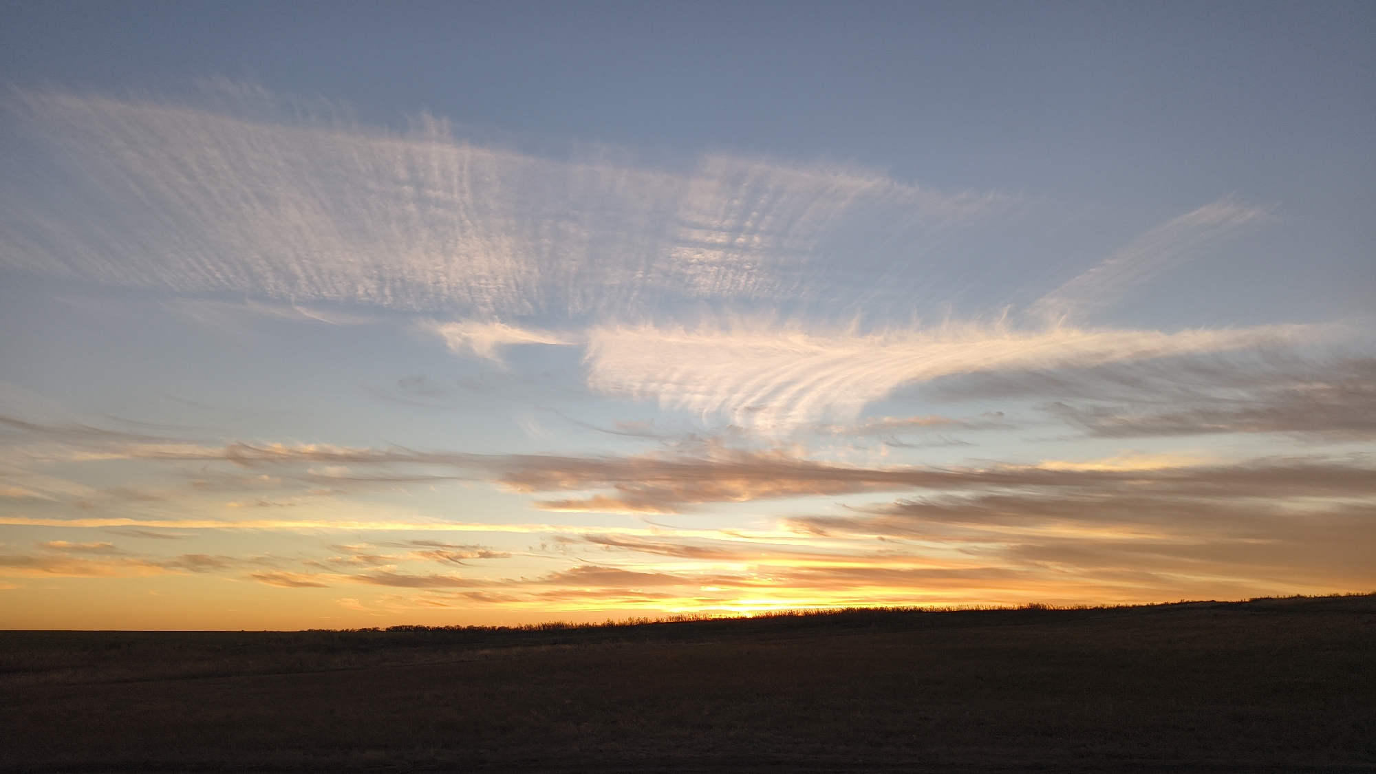 This image depicts a wide, flat landscape under a sky filled with wispy, colorful clouds during sunset. The foreground is a dark, uncultivated field with a line of trees silhouetted against the horizon. The sky transitions from a bright orange and yellow near the horizon to shades of pink and light blue higher up. The clouds are stretched horizontally, appearing feathery and delicate, with some catching the warm hues of the setting sun. The scene appears to be an open, rural area, possibly a field or steppe, characteristic of the Шарашенский, Russia region. There are no people or visible animals in the frame.