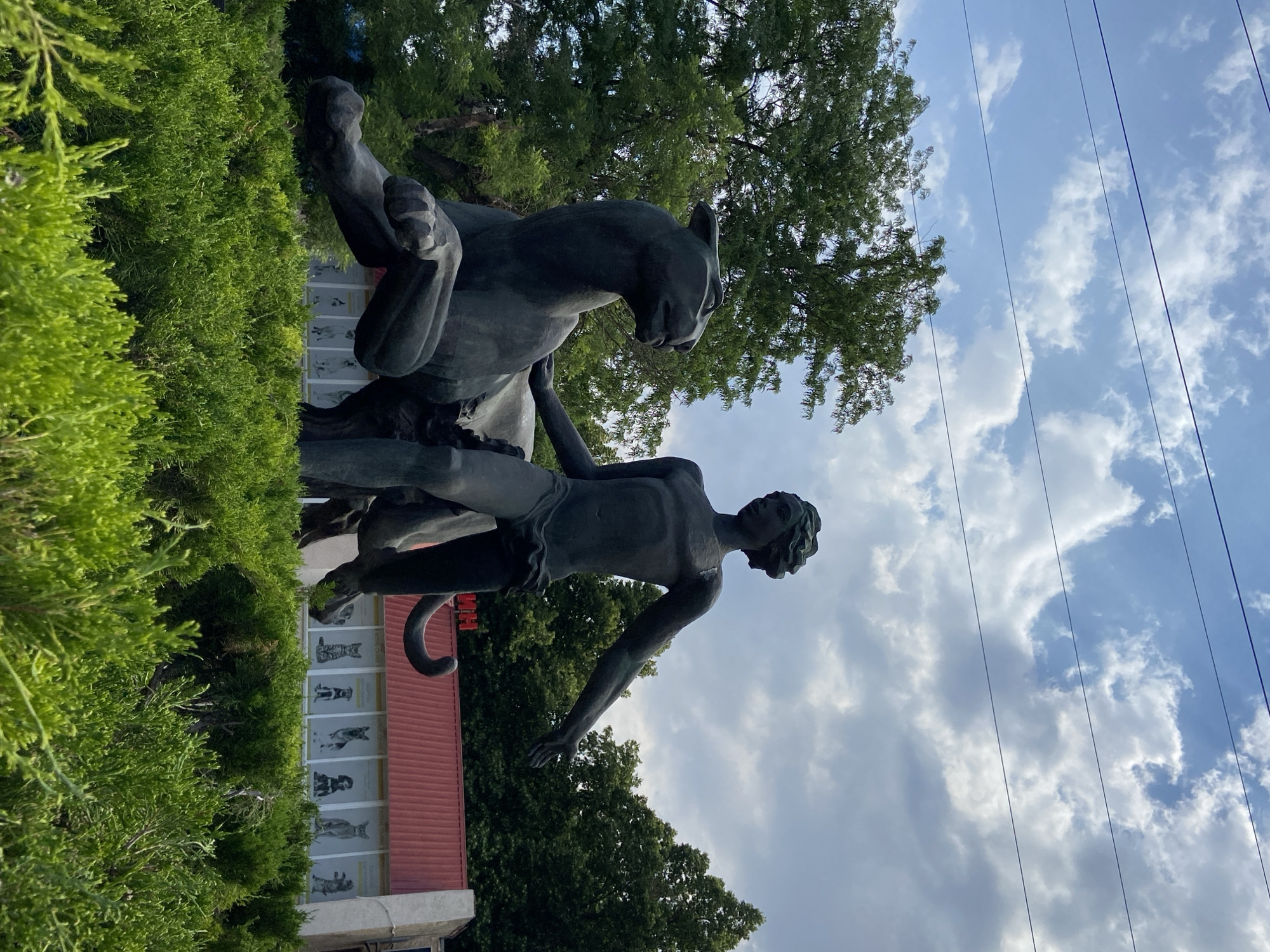 A dark bronze statue of a youthful, muscular male figure with curly hair, wearing a loincloth, stands beside a large, recumbent panther. The man's left arm rests on the panther's back, while his right arm is extended outwards. The panther is depicted in a powerful, low-slung posture. Both figures are posed on a mound of dense, green evergreen shrubs. Behind the statue, a red-roofed building with large windows displays posters of various dog breeds and a cat. Above the building, lush green trees form a backdrop against a sky with scattered white clouds and visible overhead wires.