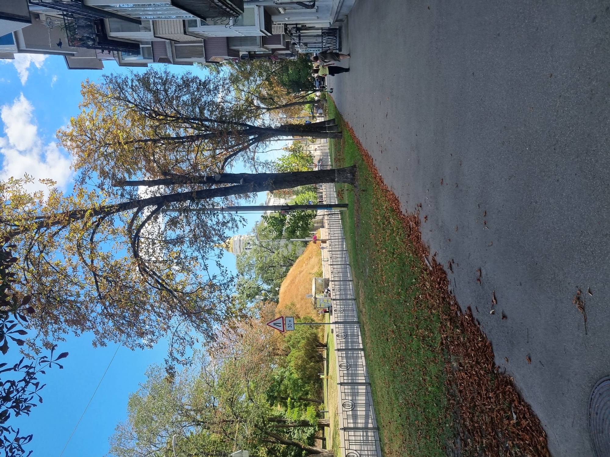 This image depicts a tree-lined sidewalk in Kyiv, Ukraine, with a multi-story building on the right and a grassy area with a fence and a hill in the background on the left. Two women are walking away from the camera on the sidewalk. The trees are showing autumn foliage, with some leaves on the ground. In the background, a golden-domed building, likely a church, is visible atop the hill. A traffic sign indicating a 30-meter distance warning is also present near the hill. The sky is blue with scattered clouds. The overall scene suggests a pleasant day in an urban setting with a mix of natural and man-made elements.