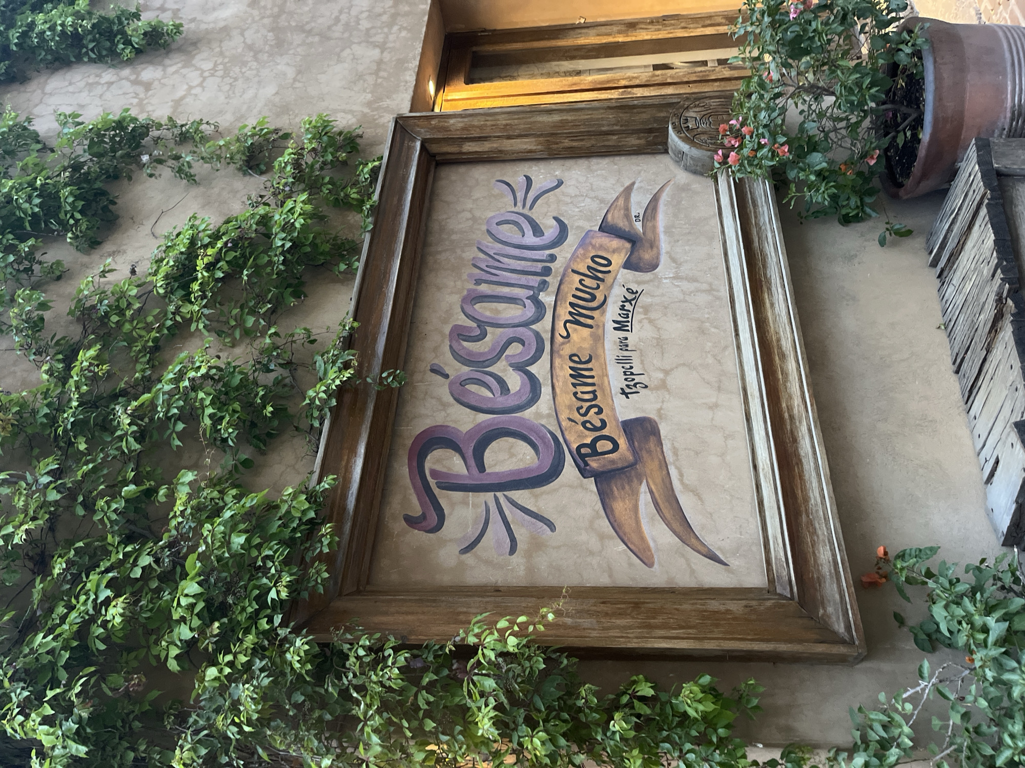 The image shows a sign with the words "Bésame Mucho" in a stylized script, presumably identifying a business or establishment. The sign is framed in wood and mounted on a wall that is partially covered with greenery. Above and to the right of the sign, there's a flower pot with plants. Based on the text on the sign indicating "Tzopitlilla para Marke" and the fact that there is a town named Tzopitlilla located within the municipality of Domingo Arenas, in the state of Tlaxcala, Mexico, it is very likely that the location of the image is in the city of Domingo Arenas, Mexico. The wall appears to be a textured, beige color. The lighting suggests an outdoor setting with partial sunlight. There are no people visible in the frame.