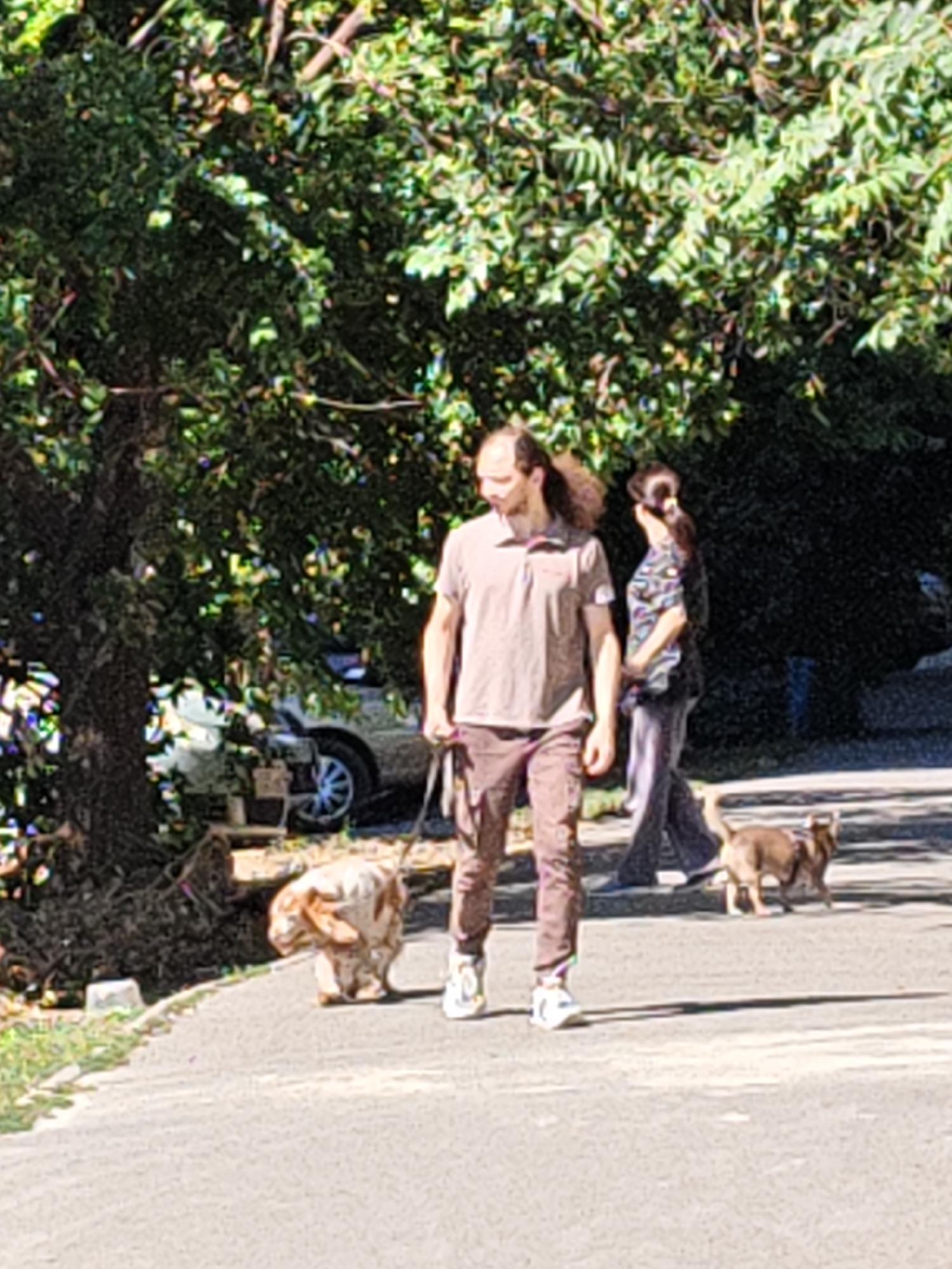 The image shows two people walking two dogs on a paved path, possibly in Rostov-on-Don, Russia. A man with long brown hair tied in a ponytail is wearing a light brown polo shirt and brown pants. He is holding a leash attached to a tan and white dog with floppy ears, which is walking in front of him. To the right of the man, a woman with dark hair pulled back is wearing a patterned shirt and dark pants. She is holding a leash attached to a small, light brown dog that is walking ahead of her. The background shows lush green trees, a parked car, and a dark background suggesting a densely vegetated area or a building. The lighting indicates a sunny day, casting shadows on the path.