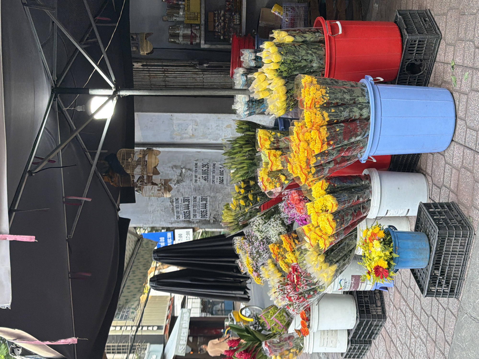 This is a street-level photograph taken from a slightly elevated perspective, looking at a flower stall in Nha Trang, Vietnam. The scene is dominated by a large, dark-colored umbrella providing shade over the stall. Below the umbrella, an array of colorful flowers in plastic wrappings are displayed in various buckets and containers.
The flowers are predominantly yellow, orange, pink, and white, arranged in bouquets and bunches. Several large, white buckets are placed on black plastic crates, holding smaller bunches of flowers. A bright blue plastic bucket filled with yellow and red flowers sits on a separate black crate in the foreground. Behind these, a large red bucket and a light blue bucket, also filled with yellow flowers, are visible. To the left of the stall, two tall, black umbrellas are propped up.
In the background, there are buildings with signage and a glimpse of a street with a person and a bicycle. The overall impression is of a bustling market scene, common in urban Vietnam. The signage on the wall behind the stall appears to be in Vietnamese. The ground is paved with brick-like tiles. A single light bulb hangs from the umbrella structure, illuminating the stall. There are also a couple of bird cages hanging from the umbrella structure.