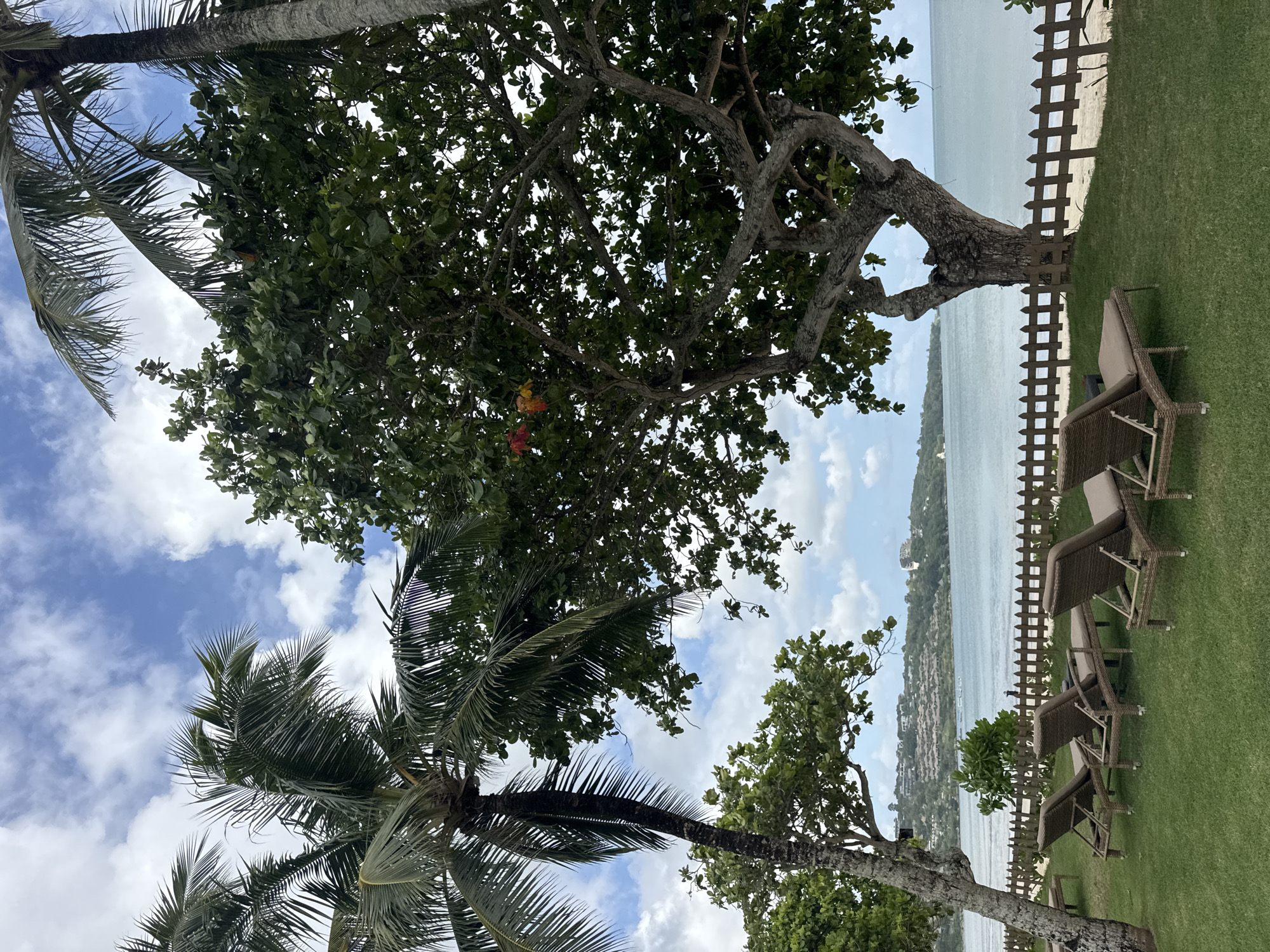 The image depicts a beach scene with palm trees, other trees, a wooden fence, and beach chairs. The sky is blue with scattered clouds. The body of water is presumably the Indian Ocean. The location is Kuta Selatan, Indonesia, indicated by the presence of palm trees and the local architecture visible across the water. No people are visible in the shot.