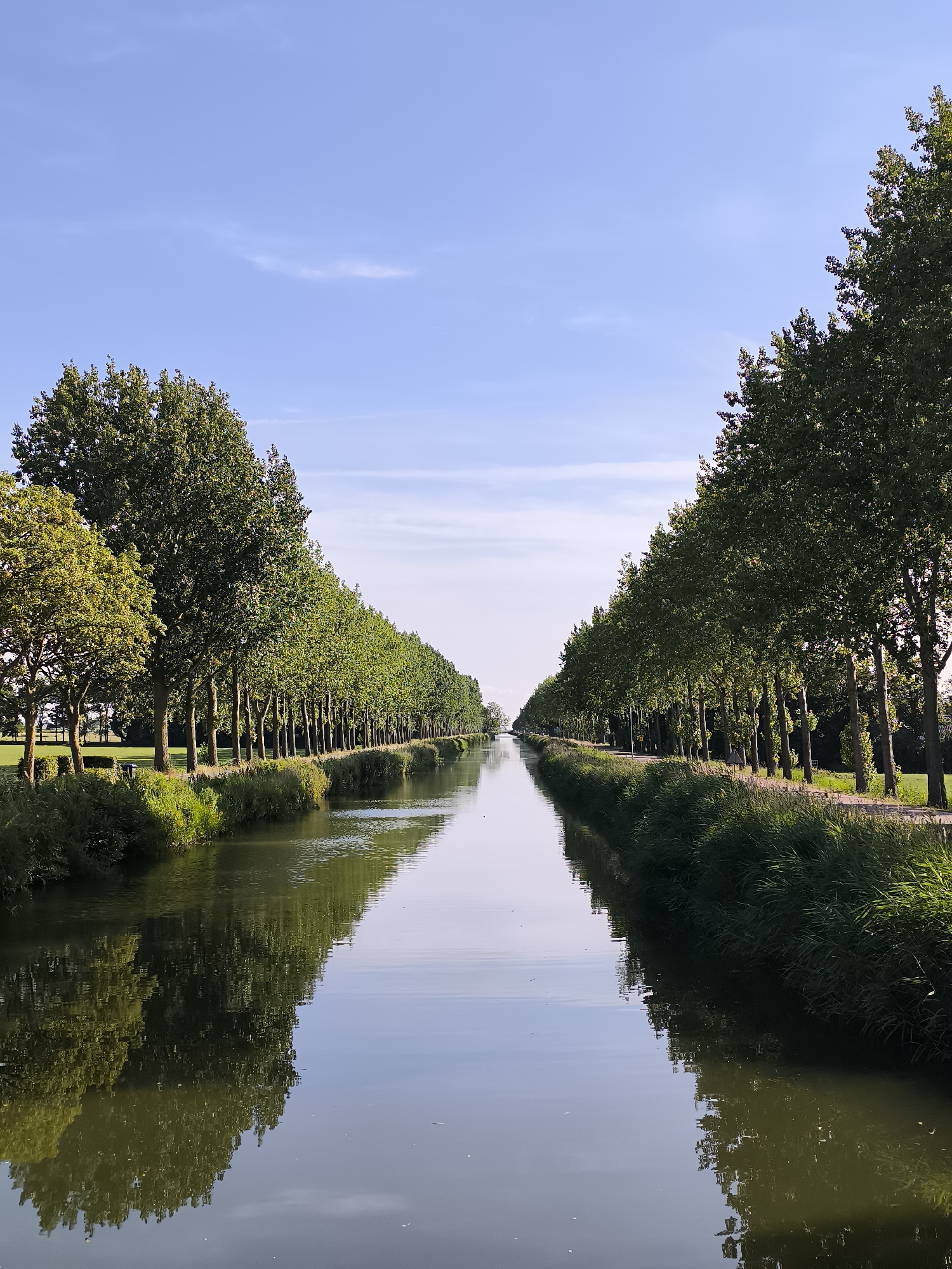 This is a vertical, eye-level, medium shot photograph of a canal in the city of Zuidschermer, Netherlands. The canal is flanked by long rows of mature, deciduous trees on both sides, creating a strong sense of symmetry and perspective. The trees have full, green canopies and their reflections are visible in the calm water of the canal, which occupies the lower half of the image. The sky above is a clear, pale blue with a few wispy white clouds. The left bank of the canal shows a grassy field with some smaller trees in the distance, while the right bank has a paved path or road running alongside the treeline, with some signs of human activity such as a distant lamppost and a pedestrian. The overall scene conveys a sense of tranquility and natural beauty within an engineered waterway.