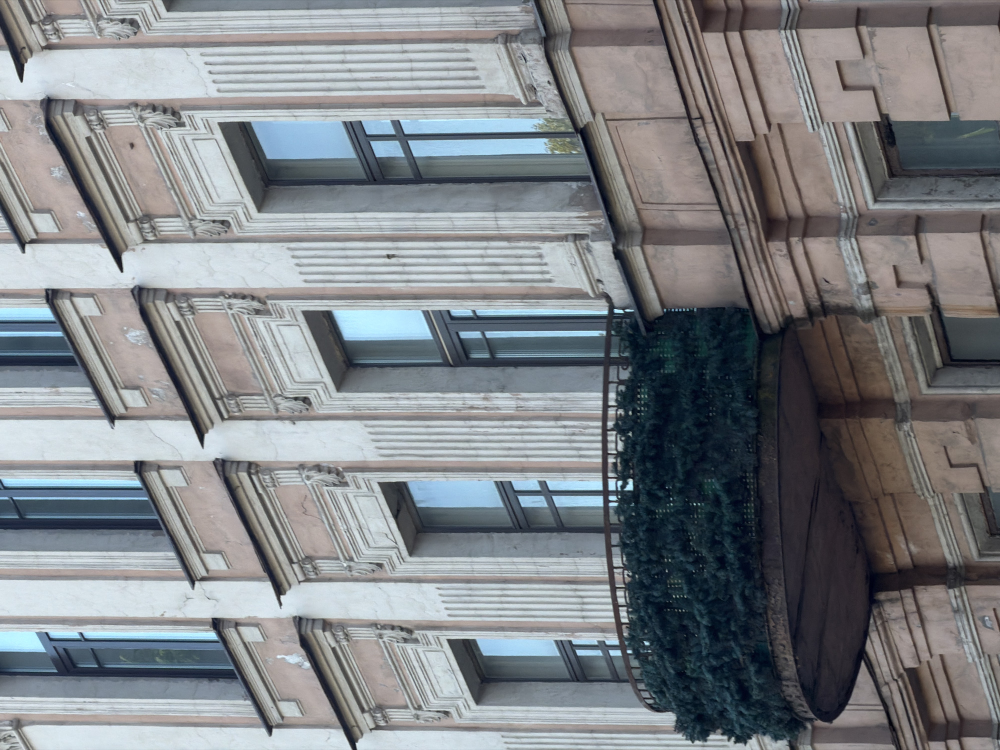 This image shows a close-up view of the facade of an old building in Saint Petersburg, Russia. The building has a cream-colored stucco exterior with pinkish decorative elements. There are multiple stories visible, each with tall, narrow windows. The windows have dark frames and are divided into sections by mullions. The building features ornate architectural details, including pilasters, moldings, and carved decorative elements above the windows. A prominent feature in the foreground is a curved balcony with a rusty railing, which is heavily decorated with dark green evergreen branches, suggesting a seasonal or festive adornment. The evergreen branches obscure the view of the balcony floor. The overall impression is of an aged but well-maintained urban building with classical architectural influences.