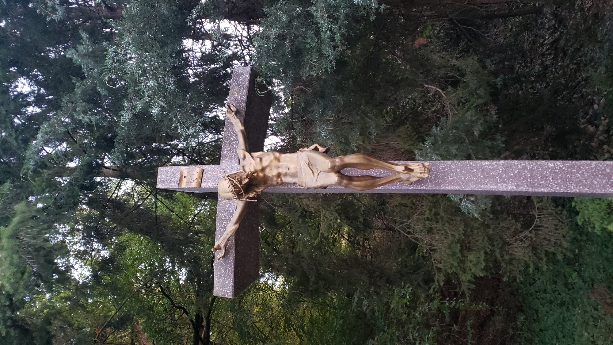 A statue of Jesus Christ on the cross is prominently displayed, positioned centrally in the frame. The statue is made of gold-colored metal and depicts Jesus with a crown of thorns, a loincloth, and his arms outstretched. The cross itself is made of speckled stone, with a horizontal beam and a vertical post. Above Jesus' head, on the horizontal beam, is a small plaque with the inscription "INRI". The statue and cross are set against a backdrop of dense green foliage, characteristic of a wooded or garden environment. The lighting suggests it is daytime, with some dappled sunlight filtering through the trees. This statue is located in the area of Sekčov, Prešov, Slovakia.