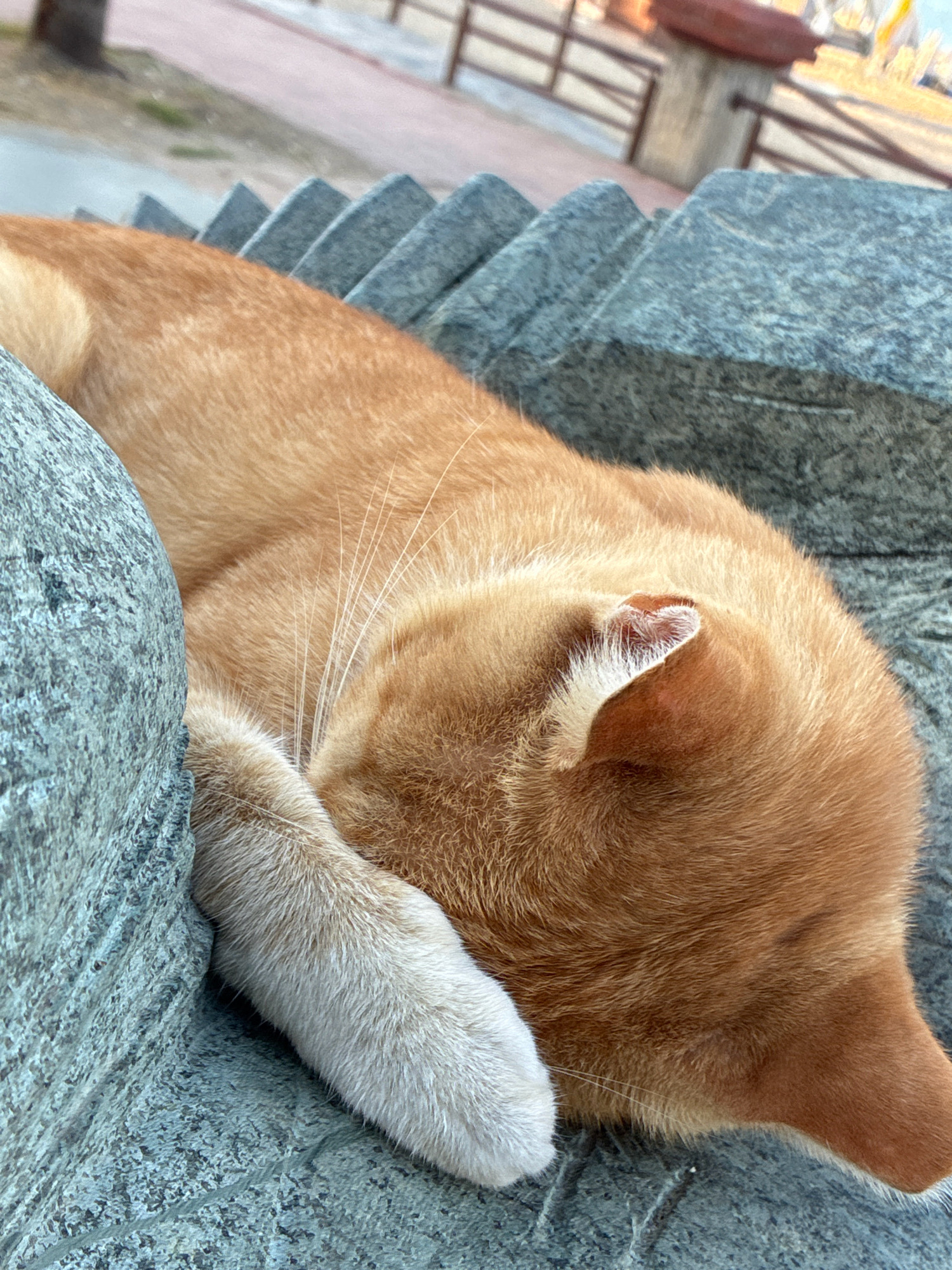 An orange tabby cat is curled up and sleeping on a textured, grey, stepped stone surface. The cat's head is tucked into its paw, obscuring its face. The background is blurred, showing a paved walkway and a wooden railing. The scene is outdoors, likely in a public space like a park or promenade. The cat appears to be relaxed and undisturbed.