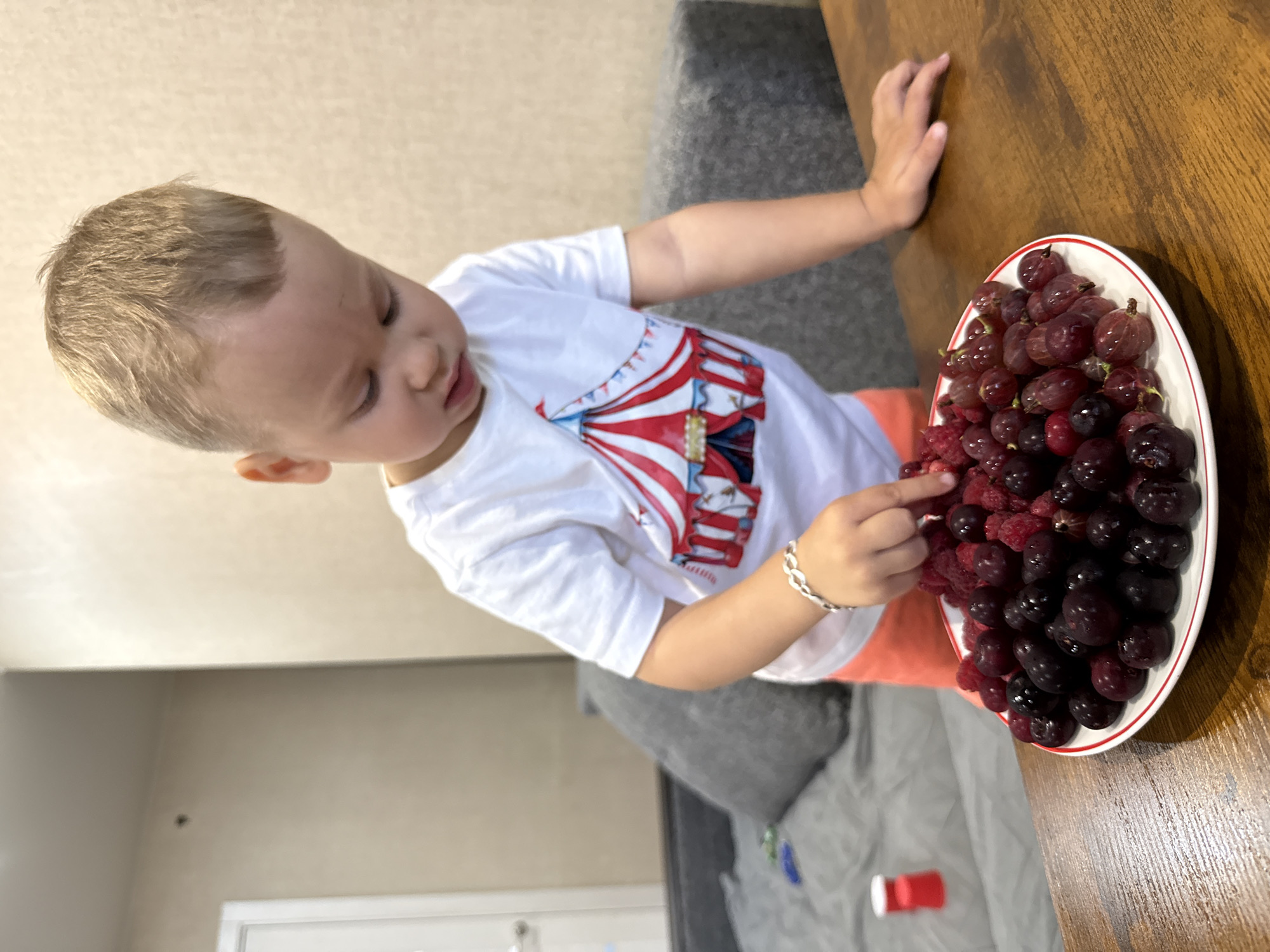 A young boy with blond hair and a white t-shirt with a circus tent graphic is standing in front of a wooden table. He is looking down at a white plate filled with red raspberries and dark purple grapes. His right hand is reaching towards the plate, and his left hand is resting on the table. In the background, a gray sofa is visible, and a white door is slightly ajar on the left. The setting appears to be an indoor residential environment. The provided information about the location in the city of Rusanovo, Russia, cannot be independently verified from the image itself.