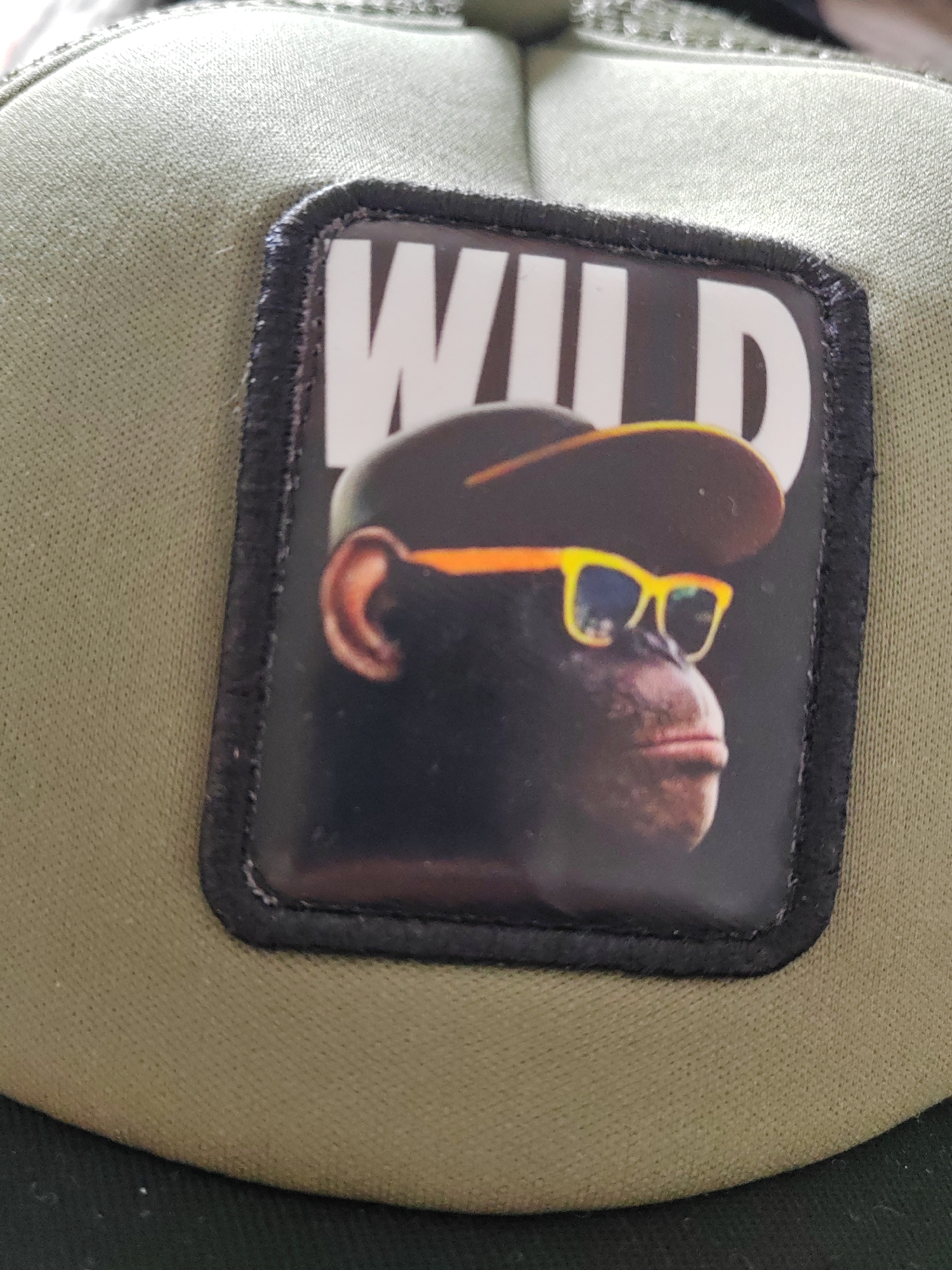 A close-up shot captures an olive green cap, likely a baseball or trucker hat, featuring a square patch on its front. The cap's fabric displays a visible, finely woven texture. The patch has a distinct black, stitched border, giving it a slightly raised and rugged appearance.
The central image on the patch is a chimpanzee, depicted in profile, facing towards the right side of the frame. The chimpanzee wears a brown baseball cap, the brim of which is prominent. It is also sporting bright yellow or orange-rimmed sunglasses with dark lenses, adding a cool and playful element to its demeanor. The background behind the chimpanzee within the patch is dark, allowing the chimpanzee and its accessories to stand out. Above the chimpanzee, partially visible in large, bold white lettering, is the word "WILD."
The lighting is soft and even, highlighting the textures of both the cap's fabric and the stitched border of the patch. The overall impression is a vibrant and characterful patch on a casual, utilitarian cap.