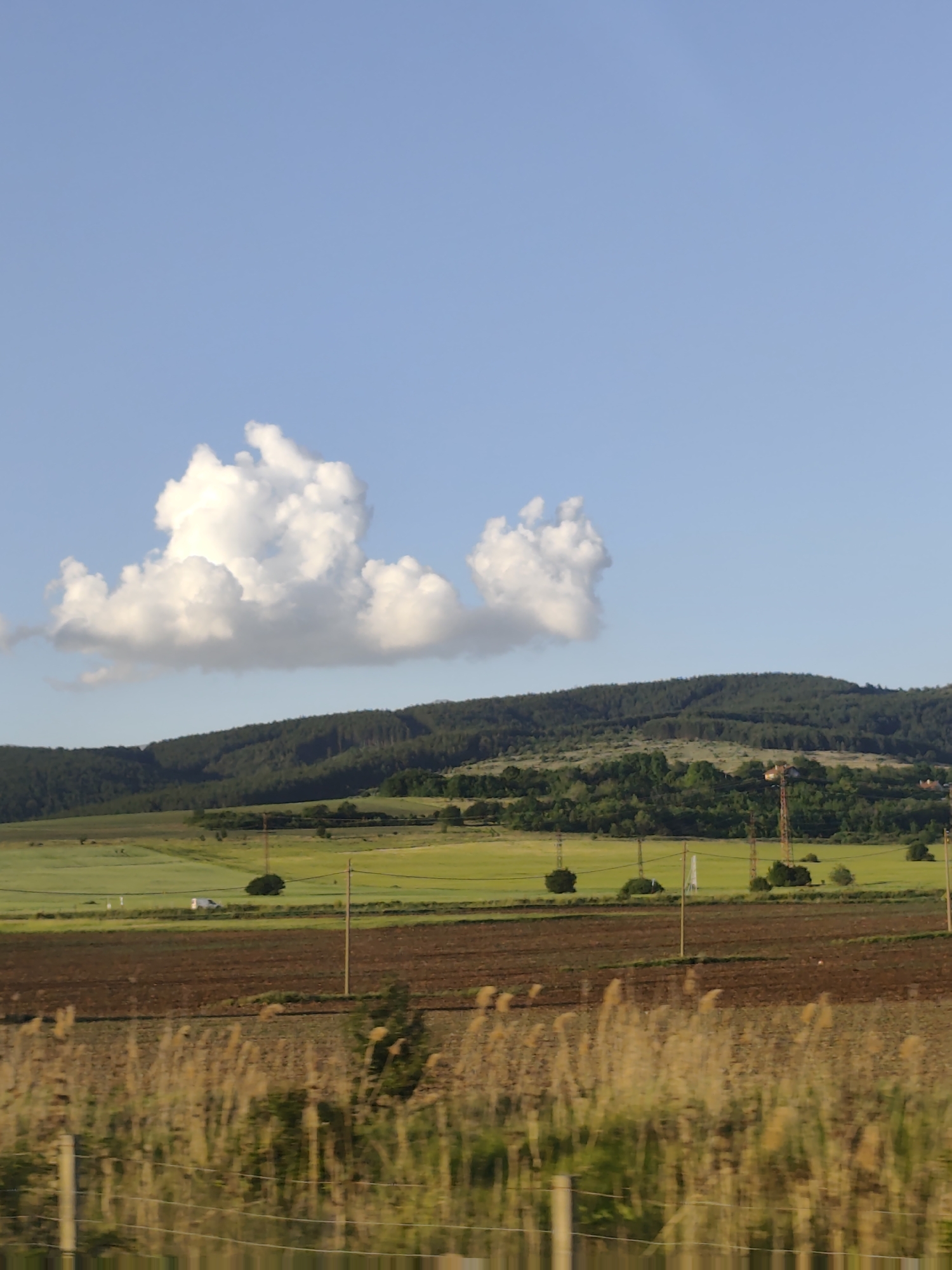 The image depicts a landscape near Dolna Dikanya, Bulgaria. In the foreground, tall brown grass obscures the lower portion of the view with a fence. Behind this, a field of dark brown soil stretches toward the midground. Above the soil field lies a green field with scattered trees and power lines. A forested mountain ridge occupies the background. The sky is blue with fluffy white clouds.