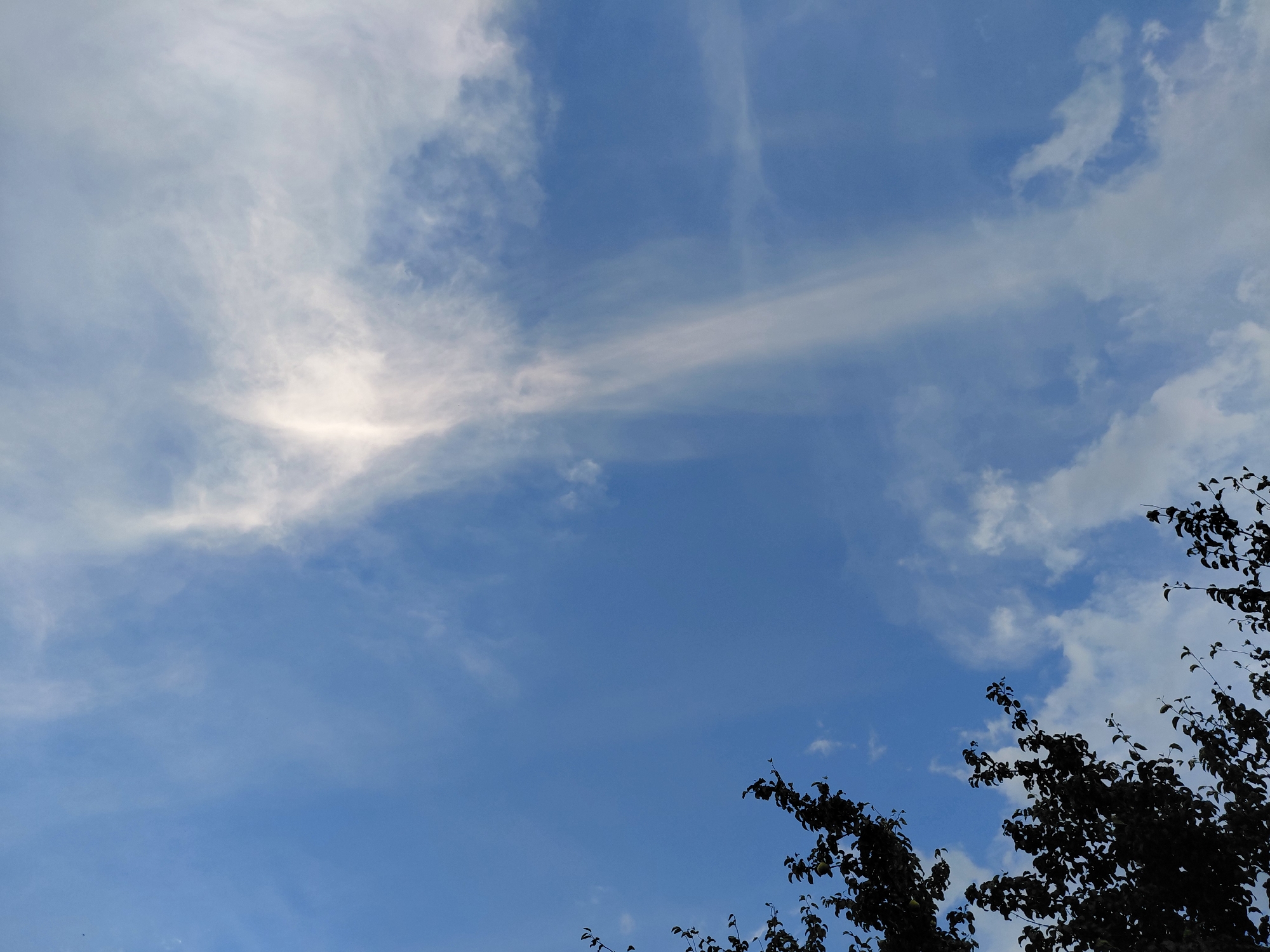 The image shows a wide-angle view of a blue sky with wispy white clouds. The sun is partially obscured by a long, thin cloud band in the upper left quadrant of the image, creating a bright halo effect. The bottom right corner of the image is partially framed by dark, silhouetted tree branches. There are no people or discernable structures visible in the scene. The environment appears to be outdoors on a clear day with some cloud cover. The location of Verhnyaya Podstyopnovka, Russia is not visually represented in the image.