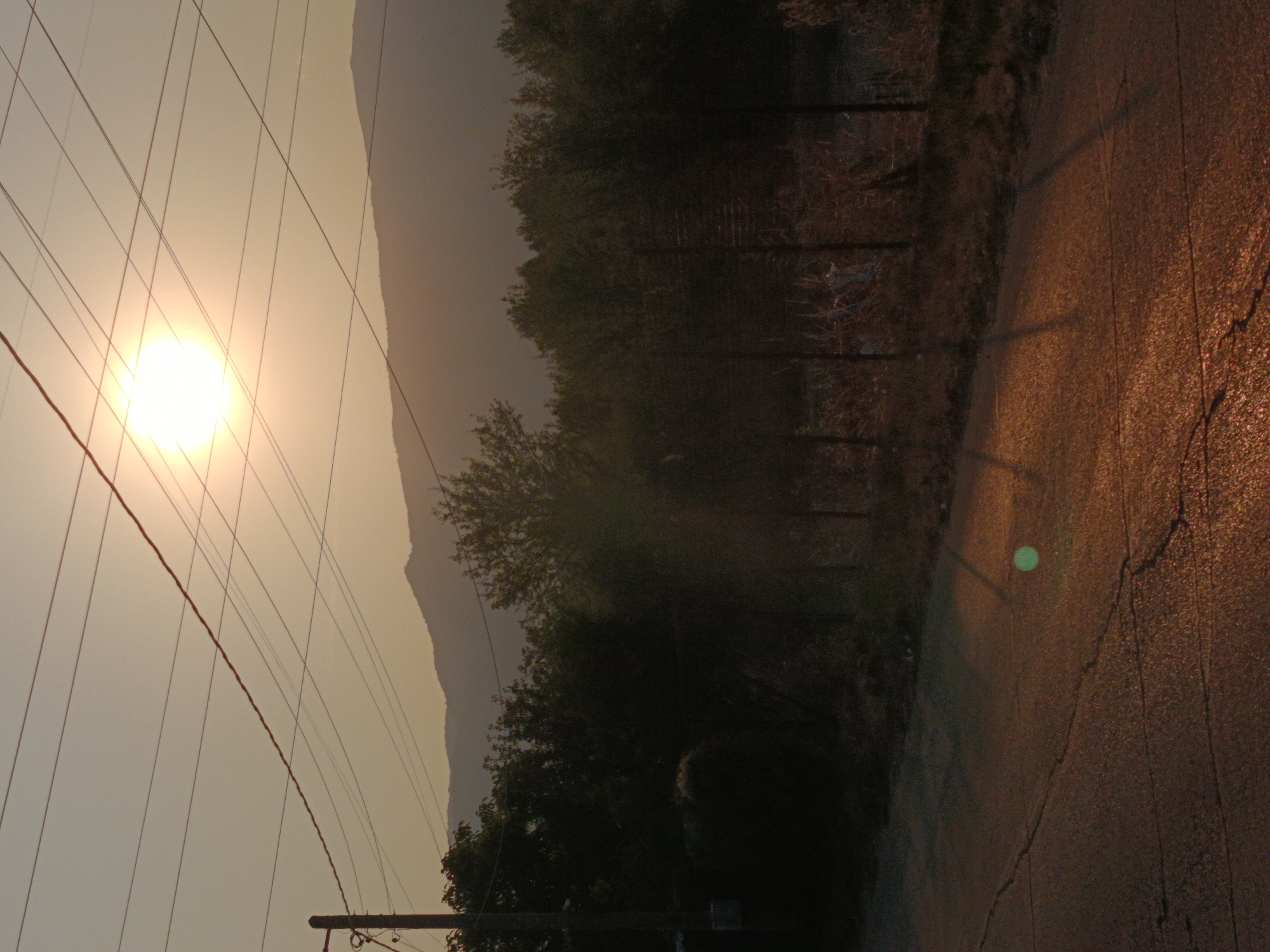 The image captures a sunset scene in Kralev Dol, Bulgaria, characterized by a bright sun low in the sky, casting long shadows and creating a warm, golden glow. Power lines crisscross the upper portion of the frame against a hazy, pale orange sky. Below, a silhouette of a tree-lined mountain range is visible in the distance. The foreground features a paved road with visible cracks and an area of light reflecting off the surface. A fence line with thin posts and some dry vegetation is situated between the road and the treeline. A single utility pole with electrical equipment is positioned on the left side of the image. The overall atmosphere is serene and rural, typical of a sunset in a village setting.