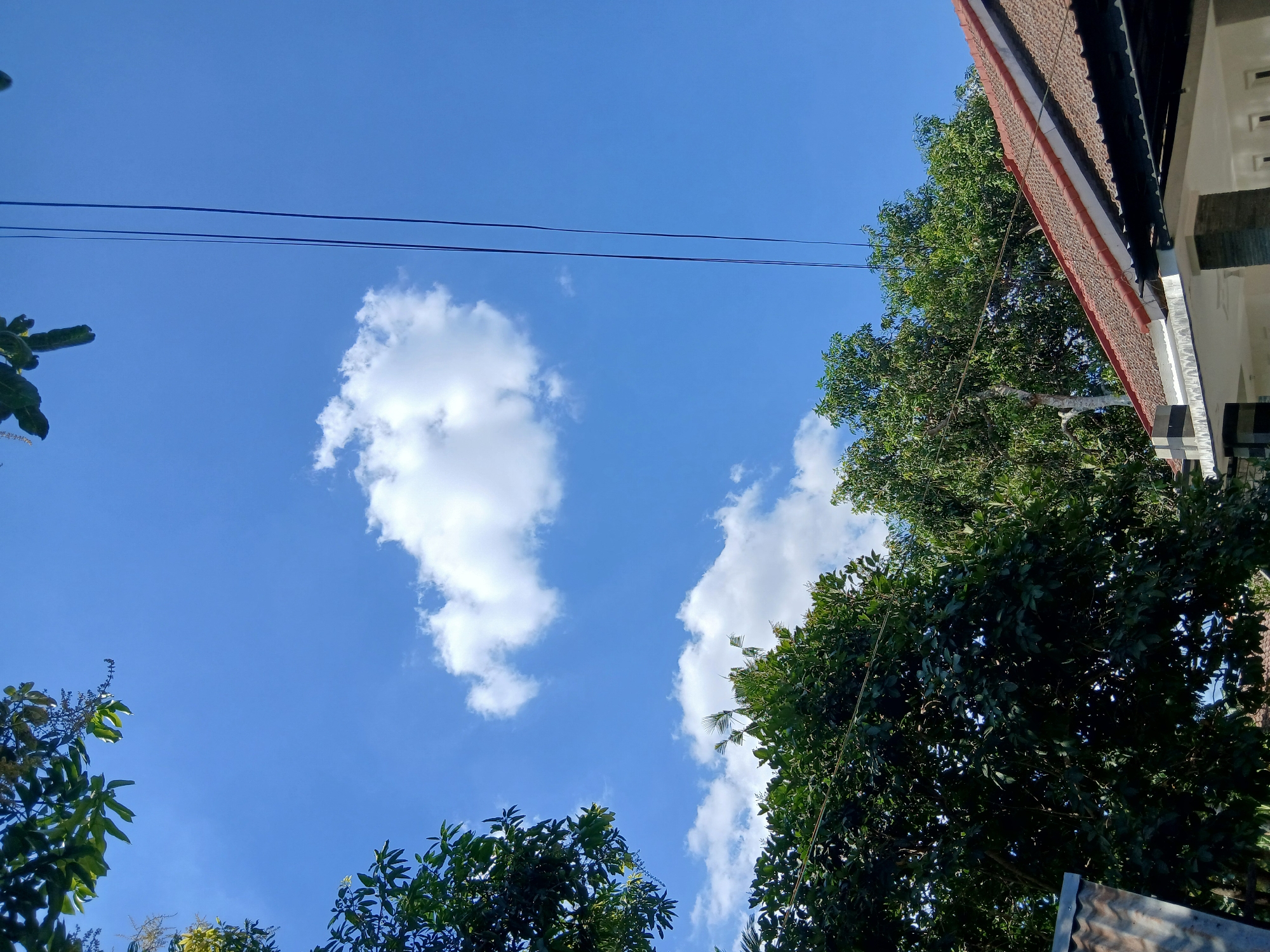 The image, taken in Pejaten, Indonesia, depicts a bright, clear blue sky with a few scattered white clouds. In the upper left and across the lower half of the frame, lush green trees are visible, with their leaves creating a dense canopy. Part of a residential building's tiled roof, in shades of terracotta and white, occupies the lower right portion of the image. Several dark wires, presumably power lines, stretch vertically through the sky on the right side of the frame. The scene appears to be an outdoor view, likely from a residential area, on a sunny day. No people are present in the frame.