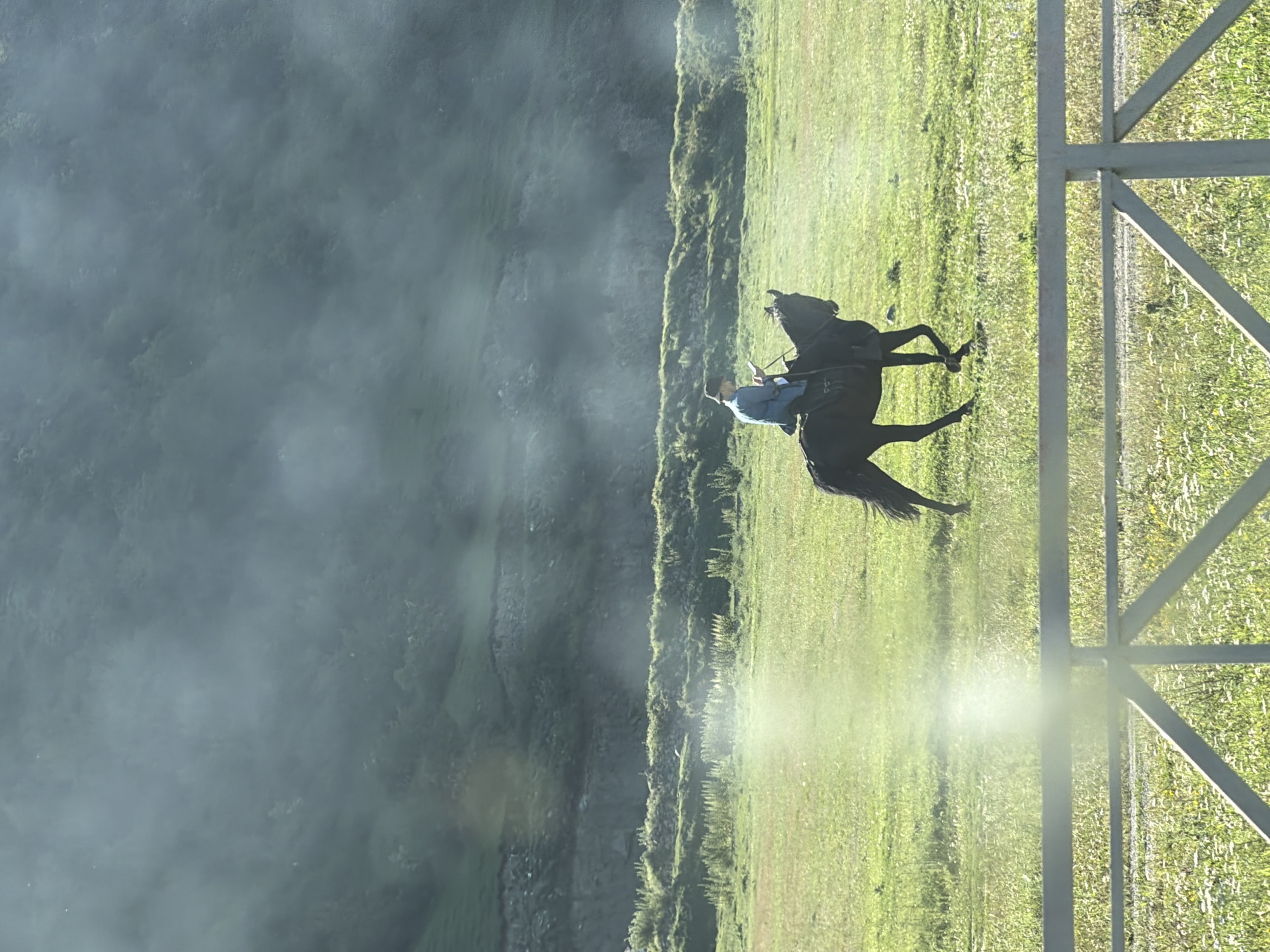 In a green, grassy field in the vicinity of Karachayevsk, Russia, a person is riding a dark-colored horse. The rider is wearing a hat and a blue jacket. The horse is walking towards the right side of the frame. In the background, there is a misty, mountainous landscape with some greenery visible. A white fence runs along the bottom of the image. The lighting suggests it is daytime, possibly morning or late afternoon, with sunlight filtering through the mist.