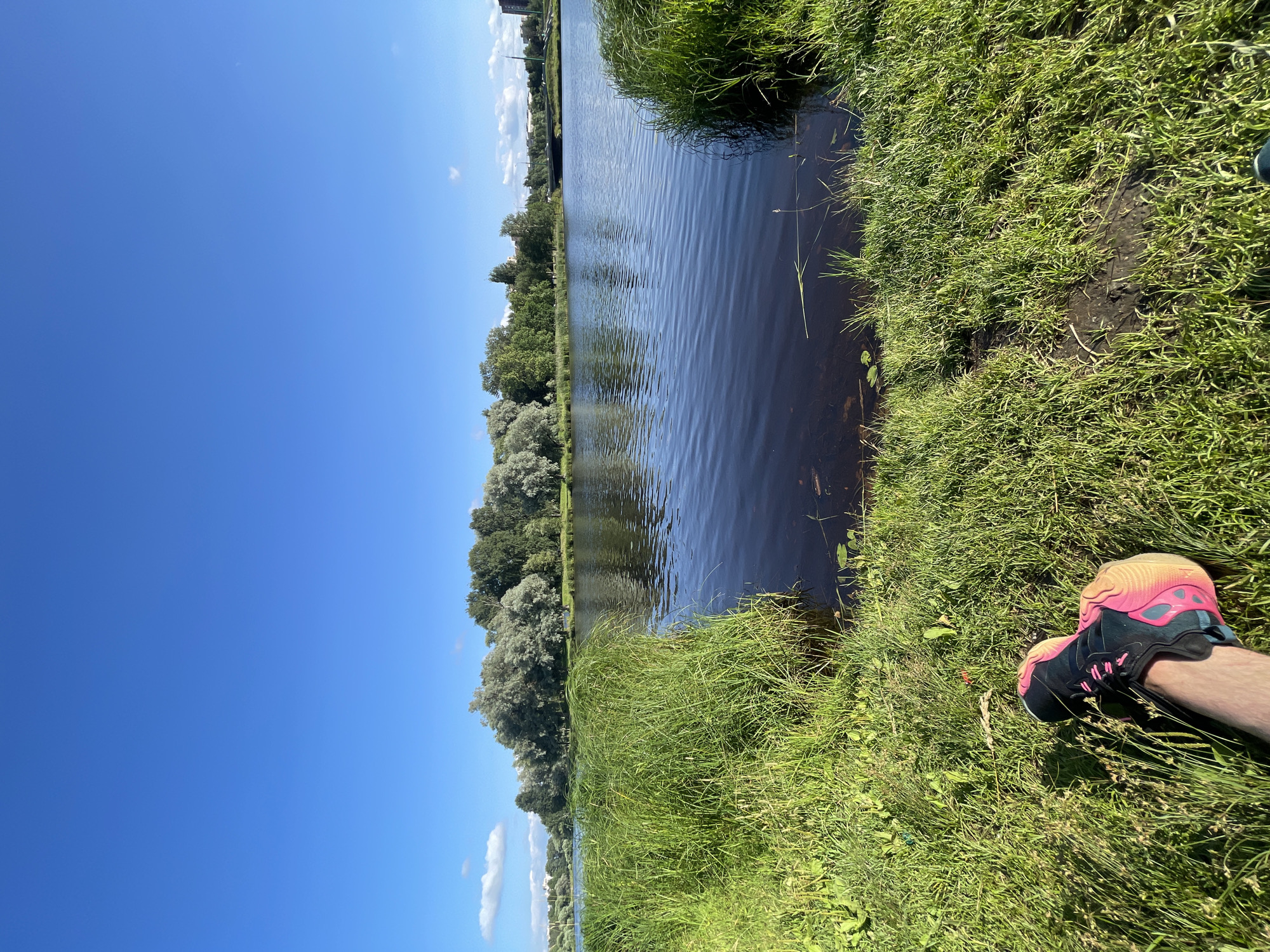 This is a photograph taken from a low angle, focusing on a grassy bank next to a body of dark water. In the foreground, a person's left leg and foot are visible, wearing a brightly colored athletic shoe with pink laces and an orange sole. The shoe is positioned on the green grass, which is long and somewhat unkempt.
The body of water appears to be a river or lake, with ripples on its surface reflecting the bright blue sky. The water's edge is bordered by tall, green reeds and grass, creating a natural, unmanicured shoreline.
In the background, across the water, is a dense line of trees. Some of these trees have lighter, silvery foliage, possibly aspens, while others are a darker green. Beyond the trees, on the horizon, there are some distant buildings and a bridge, suggesting the scene is near an urban area. The sky is clear and a vibrant blue, with a few small, wispy white clouds. The lighting indicates it is daytime, likely late morning or afternoon, with the sun casting shadows and highlighting the textures of the grass. The location is identified as Vaganovo, Russia.