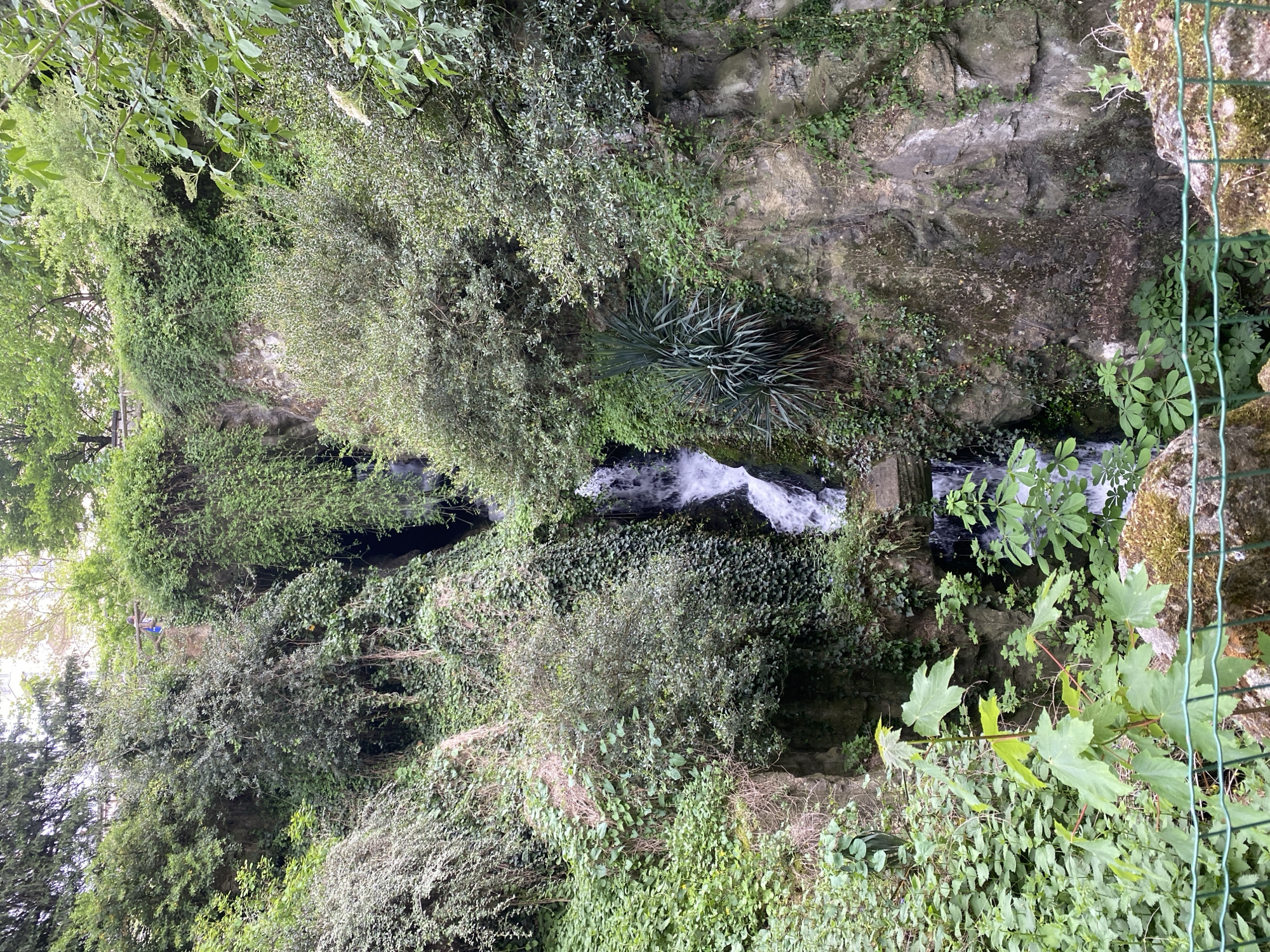 The image shows a small waterfall in a lush, green environment. The waterfall is cascading over rocks and vegetation. The location is likely in the Parc des Buttes-Chaumont in Paris, France, a park known for its artificial grottoes, waterfalls, and lush landscaping. The scene is viewed from above. The water flows down into a pool or stream surrounded by various plants, shrubs, and trees. A green mesh fence is visible on the right side. No people are visible.