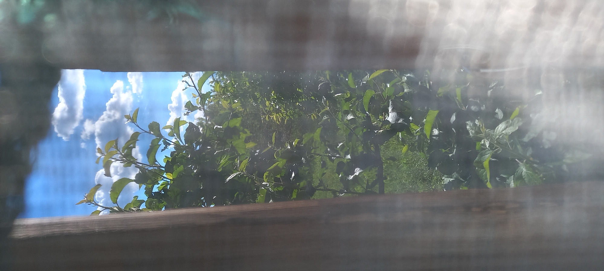 The image shows a view through a gap in a wooden structure, possibly a fence or wall. Beyond the gap, there is a blue sky with fluffy white clouds to the left, and green foliage, possibly trees or bushes, to the right. The foreground is blurred. The location and city of Kryvyi Rih, Ukraine cannot be confirmed with the current information available.