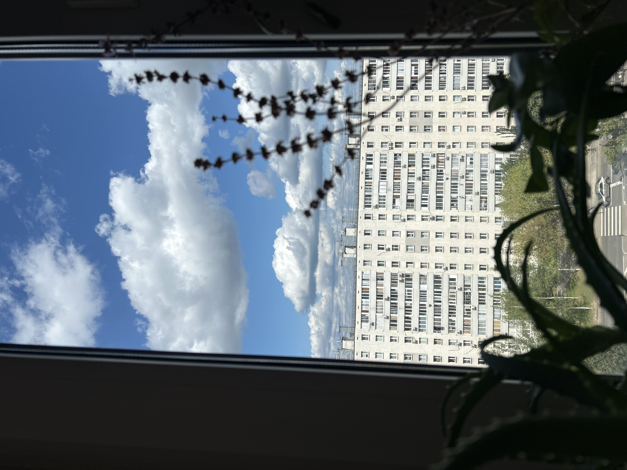 This is a photograph taken from indoors, looking out through a window frame. The scene depicts a large, multi-story apartment building with a white facade, numerous windows, and visible air conditioning units. The building appears to be situated in an urban environment, with trees and a road visible in front of it. A white car is parked on the road next to a pedestrian crossing. Above the building, a bright blue sky is filled with fluffy white clouds. In the foreground, out of focus, are the silhouettes of houseplants. The overall impression is a view of a residential area on a sunny day. The architectural style of the building is characteristic of Soviet-era mass housing, which is common in Moscow, Russia.