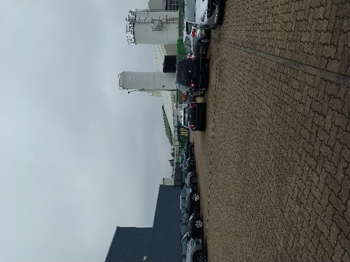 The scene depicts an outdoor parking area within an industrial or commercial district of Saarlouis, Germany, under a uniformly overcast, light grey sky. The ground consists of dark grey and brown interlocking pavers, appearing damp.
No individuals are visible. Approximately twenty vehicles are parked across the paved lot. In the midground, a black Mini Cooper hatchback is positioned facing away from the viewer. Behind it, a dark-colored minivan, consistent with a Mercedes-Benz V-Class, is parked at a slight angle. To the immediate right foreground, a silver hatchback, possibly a Peugeot, shows front bumper damage or a missing emblem. Other vehicles, including sedans, SUVs, and hatchbacks of various dark and light colors, are parked in rows on both the left and right sides of the lot.
The background features industrial infrastructure. A large building with dark blue/grey corrugated metal siding occupies the left background. In the center-right, an industrial complex is visible, characterized by multiple white cylindrical silos of varying heights. One prominent silo is equipped with a tall light pole, while another features external ladders and railings. Green-roofed buildings and a green perimeter fence are discernable behind and between the main structures.