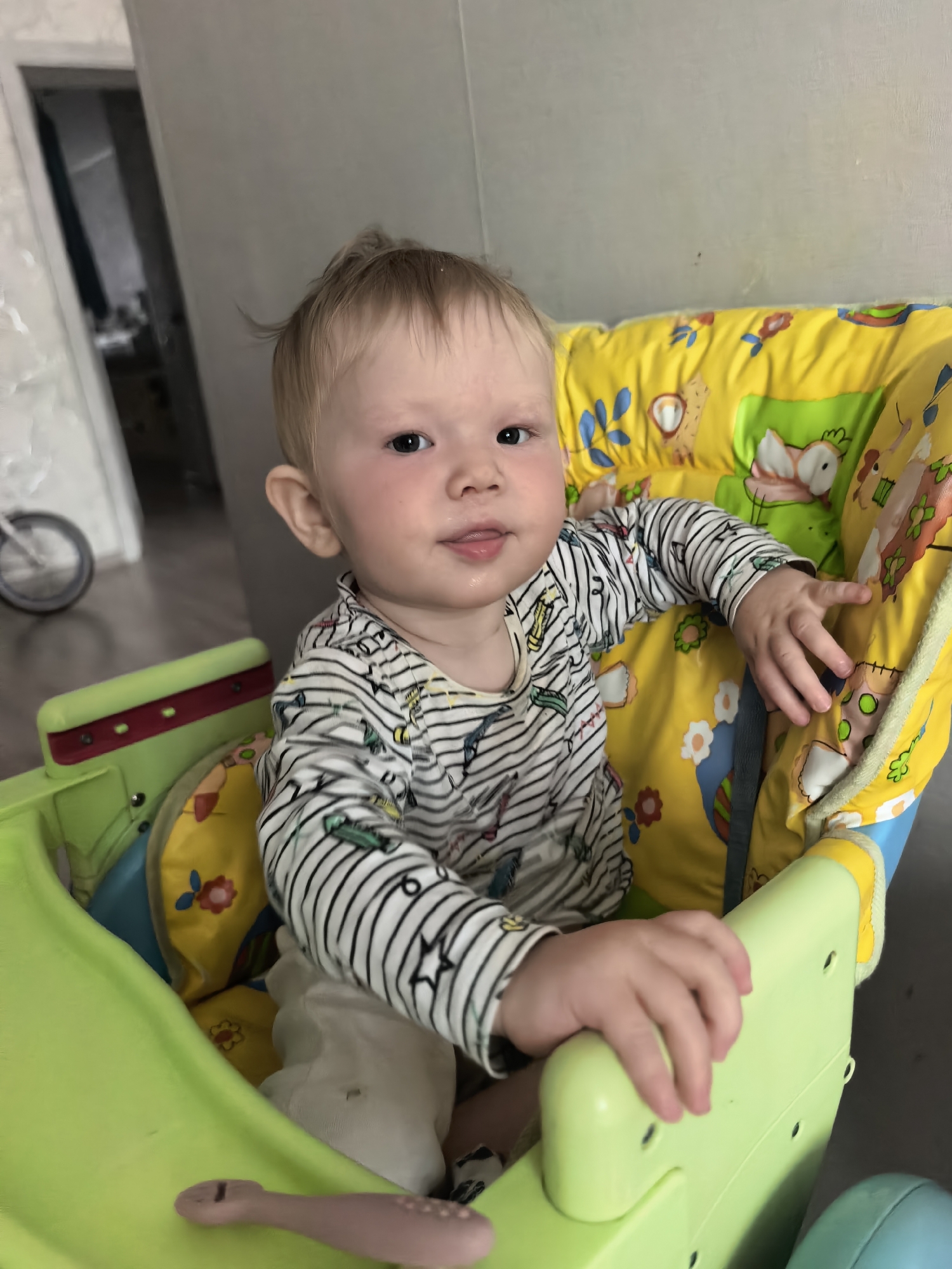 A close-up, eye-level shot captures a baby seated in a high chair within an indoor home setting in Sterlitamak, Russia. The baby, with light blonde hair and dark, alert eyes, looks directly at the camera with a slight, curious expression, their tongue peeking out. Their cheeks have a rosy hue.
The child wears a long-sleeved, horizontally striped shirt adorned with small, colorful motifs, paired with light-colored pants. They are positioned in a bright green high chair, featuring a vibrant yellow cushion insert. This cushion is decorated with a playful pattern of cartoon animals, such as owls, alongside flowers and other colorful shapes in shades of green, blue, orange, and red. The baby's hands rest on the light green tray of the high chair.
The background reveals a simple domestic environment with light-colored walls. To the left, a partially visible doorway leads to another room, where the wheel of a bicycle or similar object can be seen. The lighting in the room appears natural, consistent with daytime. There is no visible text in the image. The overall impression is a candid moment of a baby in their daily environment.
