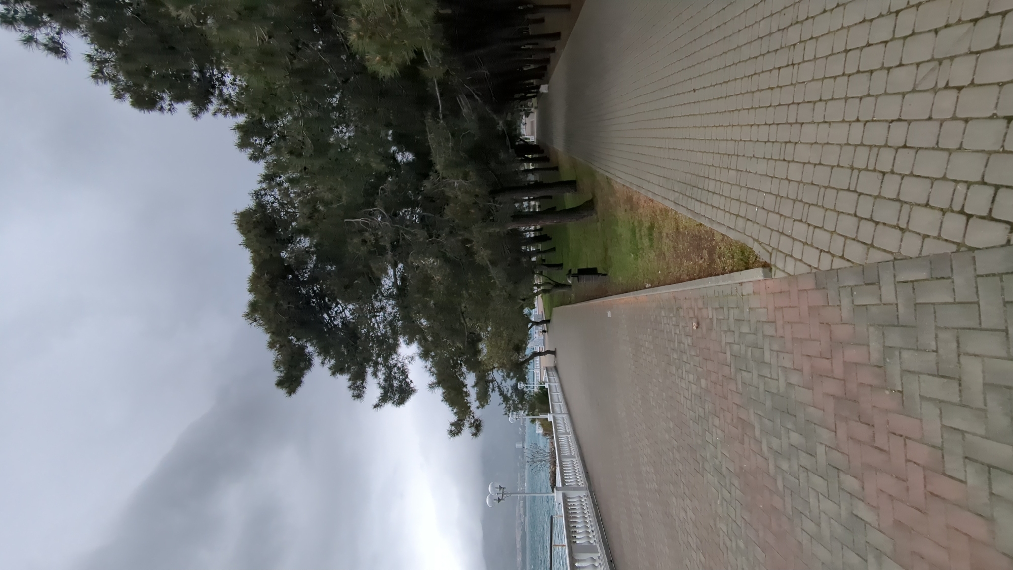 The image shows a waterfront promenade in Gelendzhik, Russia, on a cloudy day. A paved walkway runs alongside the sea. A row of trees lines the walkway, separating it from a grassy area. A balustrade separates the walkway from the sea. Street lamps are placed along the balustrade. The sea is visible in the background, with heavy cloud cover above. No people are visible.