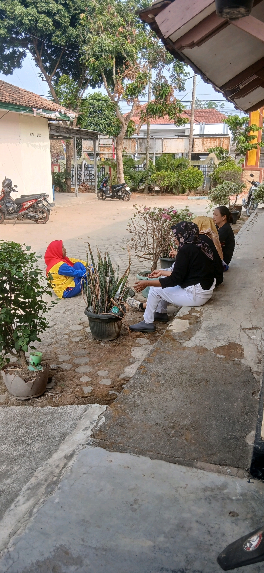 In an outdoor, sunlit setting likely in Metro, Indonesia, several individuals are casually seated on a concrete ledge. A woman in a red hijab and a yellow and blue jacket is sitting on the ground, facing away from the camera. Next to her, three women are seated on the ledge, all wearing dark tops. Two of them have on hijabs; one a patterned black and white one, and the other a lighter yellow. The third woman, without a hijab, has her hair pulled back. All three women on the ledge are wearing white pants. Their body language suggests a relaxed, conversational atmosphere.
The environment is semi-urban with a paved ground surface featuring circular stone inlays, interspersed with dirt and patches of gravel. Several potted plants are visible, including a snake plant in a dark planter and a smaller plant in a textured pot. In the background, motorcycles are parked, with one red and black scooter prominently positioned on the left and a black scooter further back on the right. A building with a tiled roof and white walls is also visible, along with trees and foliage that suggest a warm climate. The overall impression is of a communal gathering or a moment of rest in a residential or public outdoor space.