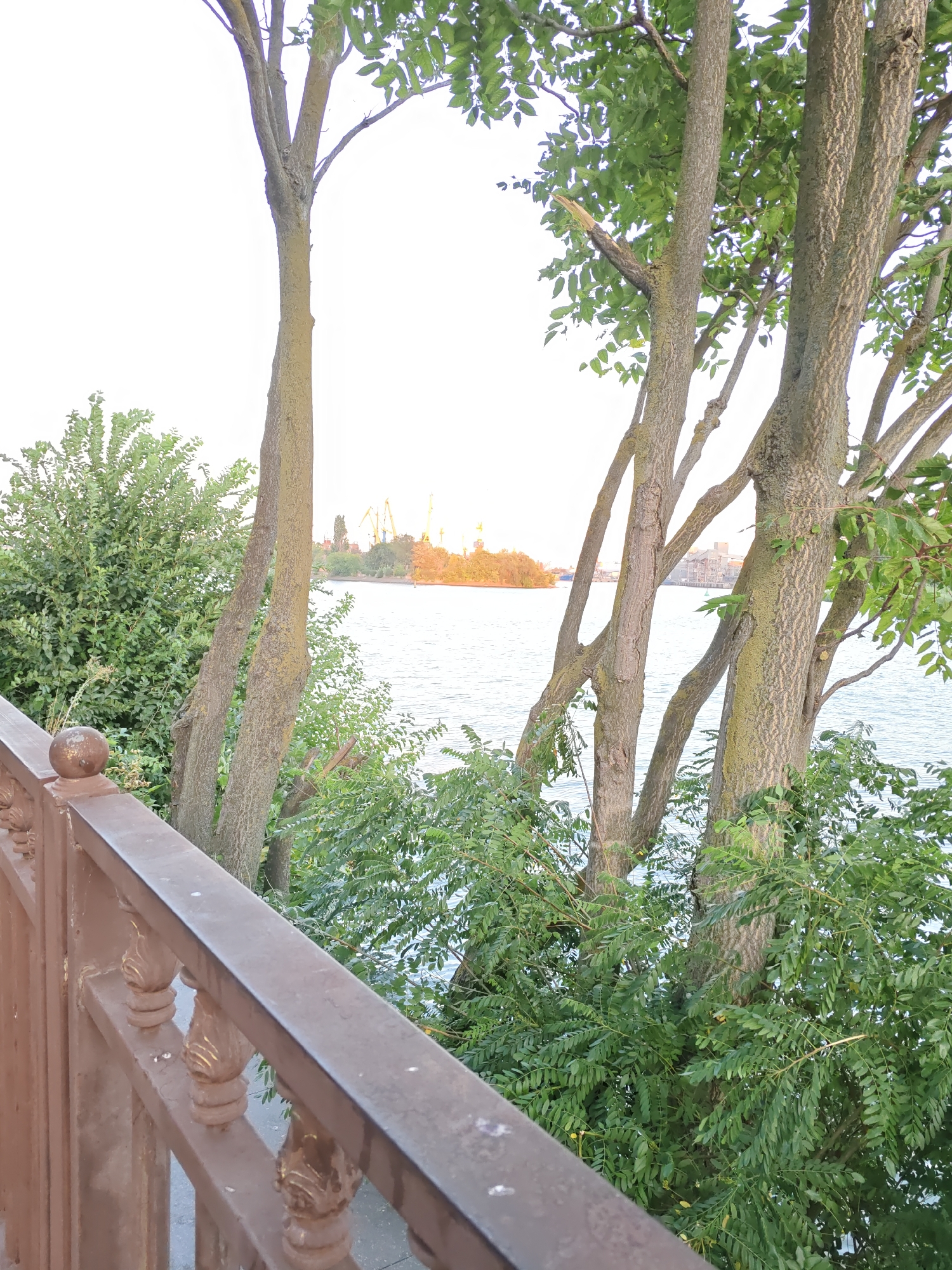 The image shows a view of the Rostov-on-Don embankment, facing the Don River. In the foreground, a brown metal railing with decorative elements runs diagonally from the bottom left corner towards the middle of the frame. Behind the railing, several trees with green foliage are visible, with their trunks reaching towards the sky. The river is in the midground, reflecting the sky and distant elements. On the far bank of the river, there are industrial structures, including cranes and buildings, suggesting a port or industrial area. The sky is bright and appears to be overcast or hazy. The overall scene depicts a waterfront area with natural vegetation and signs of industrial activity.