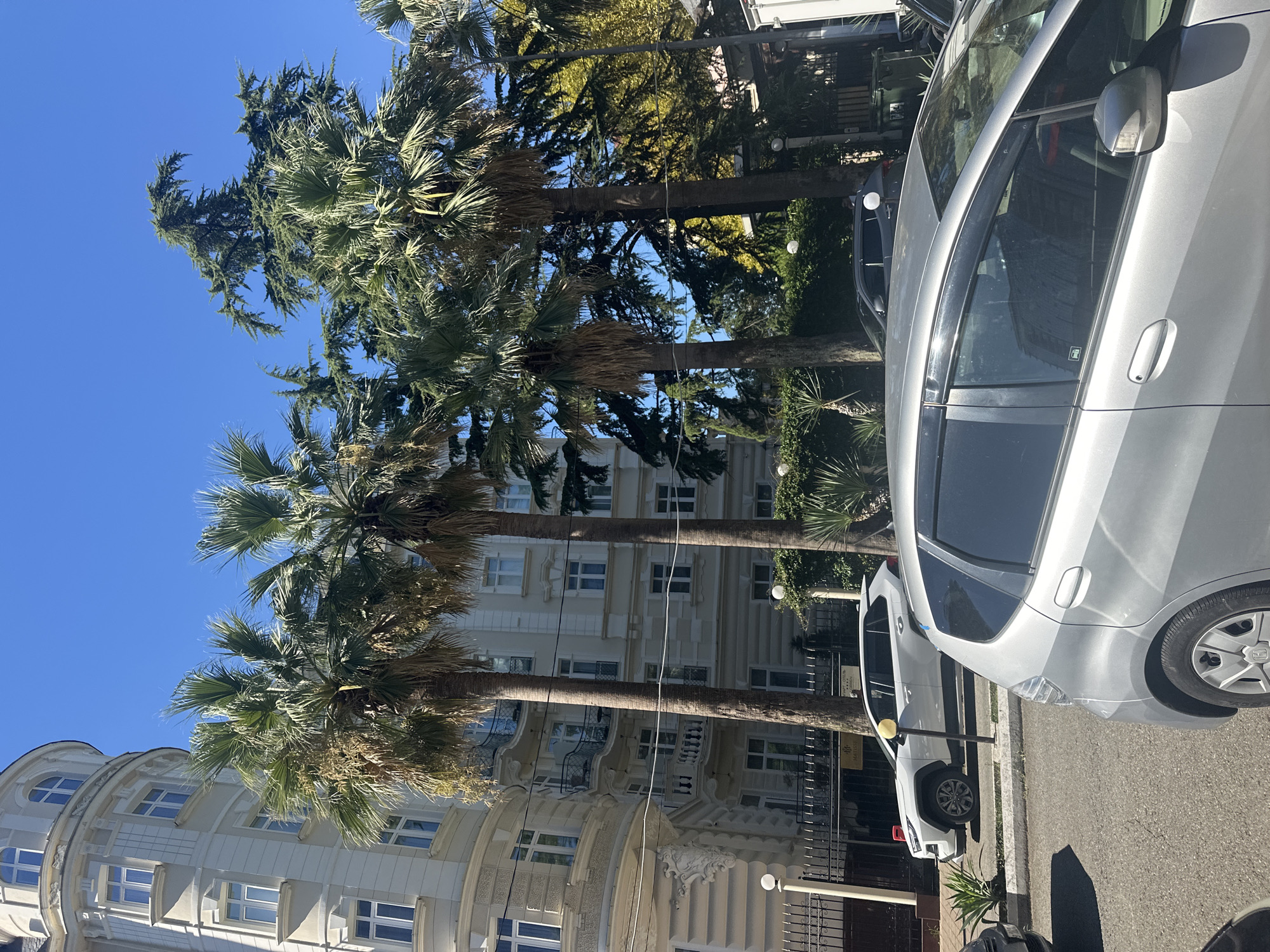 The image captures a street scene in Sochi, Russia, under a clear blue sky. In the foreground, the rear of a silver hatchback is visible. Behind it, parked on the side of the street, is a white SUV. Tall palm trees line the street, with a multi-story building featuring ornate balconies and arched windows to the left. Another building, lighter in color and with more uniform windows, is visible behind the palm trees. The scene appears to be a sunny day in a coastal city, with lush vegetation and classic architecture.