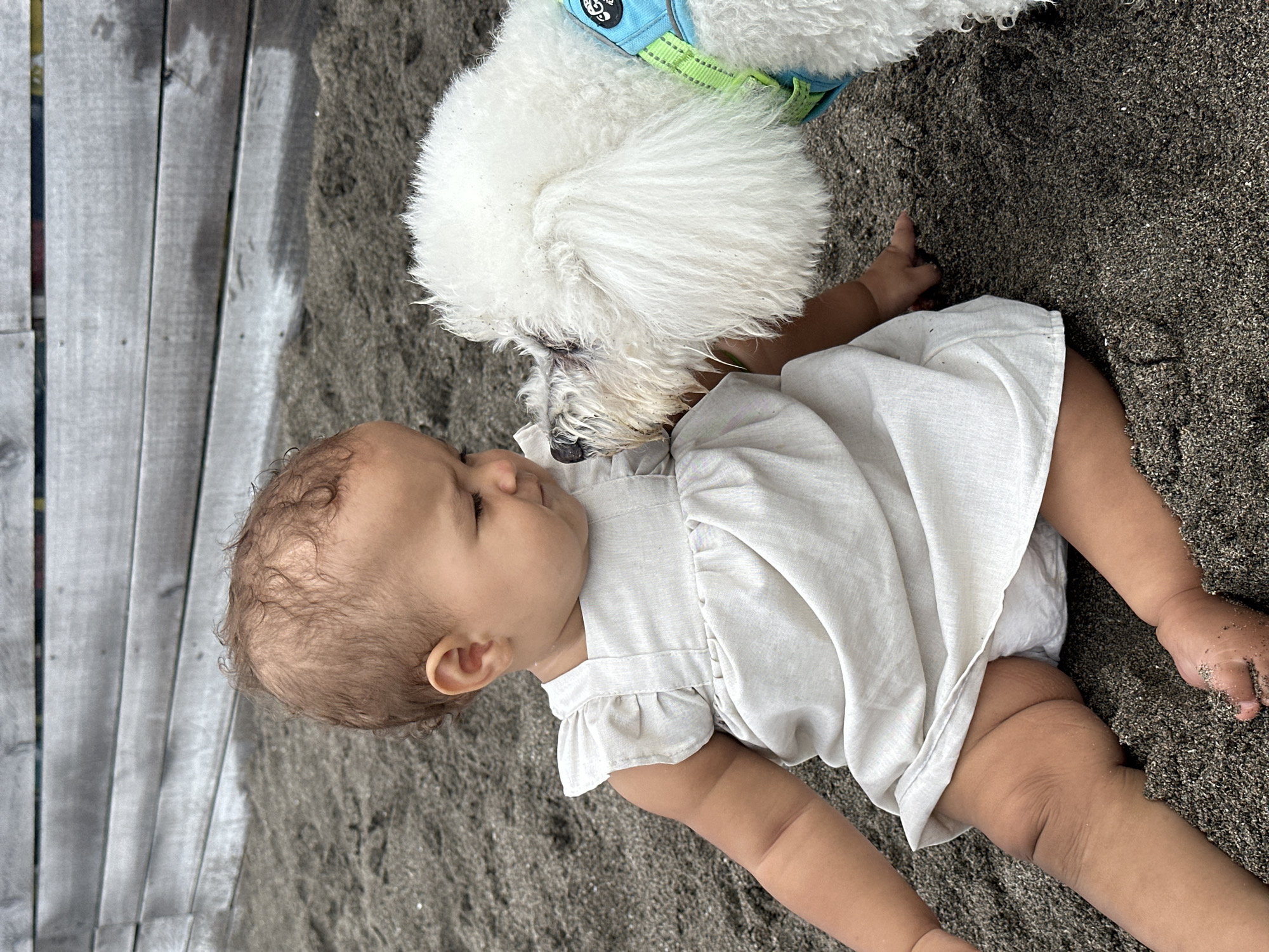 A baby in a white linen dress is sitting on dark sand, looking down at a white Bichon Frise dog. The dog is wearing a blue and green harness and is sniffing the baby's face. The background consists of weathered wooden planks. The scene appears to be on a beach in North Kuta, Indonesia, possibly near a boardwalk or a seaside establishment given the wooden structure.