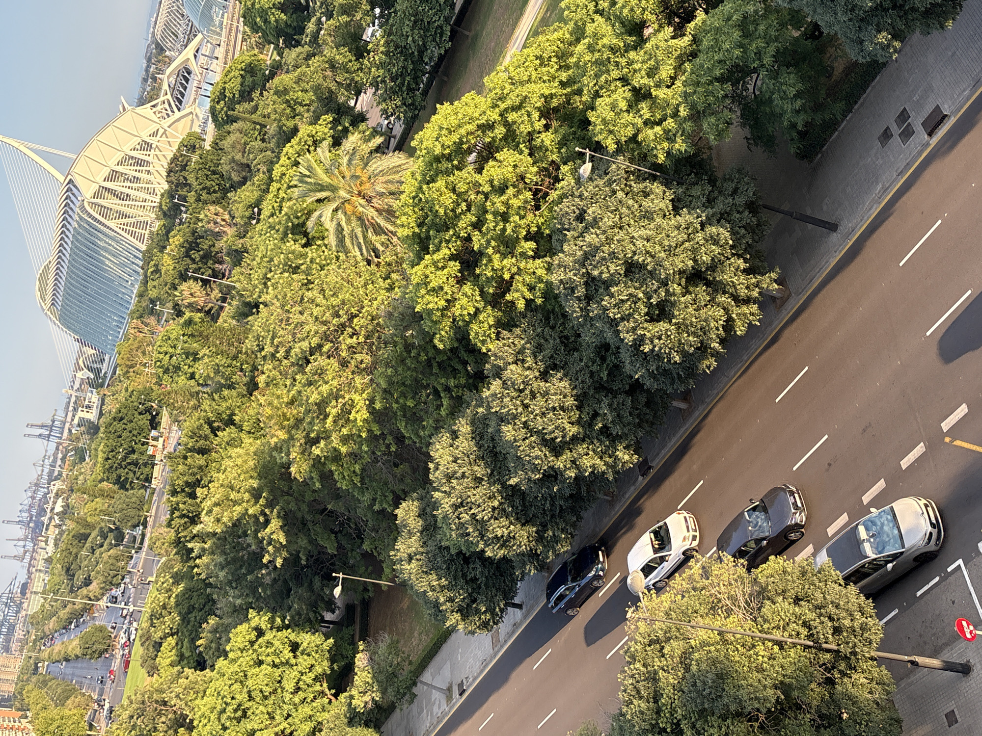 This is an aerial, top-down view of a tree-lined street with a park area. The scene appears to be set in València, Spain, as suggested by the presence of the City of Arts and Sciences' Hemisfèric in the background, characterized by its distinctive eye-like architecture.
Several cars are visible on the road, including a white car, a dark-colored car, and a silver car, all appearing to be in motion or parked along the street. The road is paved and marked with white lane lines. Adjacent to the road is a sidewalk made of grey paving stones, with some grates or manhole covers visible.
The majority of the image is filled with lush green trees, with a variety of shapes and sizes. One prominent palm tree stands out among the deciduous trees. The sunlight suggests it is daytime, likely late afternoon or early evening, as there are noticeable shadows cast by the trees and some buildings. The sky is clear and light blue, indicating fair weather.
In the distance, beyond the trees and the street, a vast industrial area with numerous cranes and port structures is visible, suggesting proximity to a harbor. The overall impression is one of an urban environment with significant green spaces and a blend of modern architecture and natural elements. No visible text is present in the image.