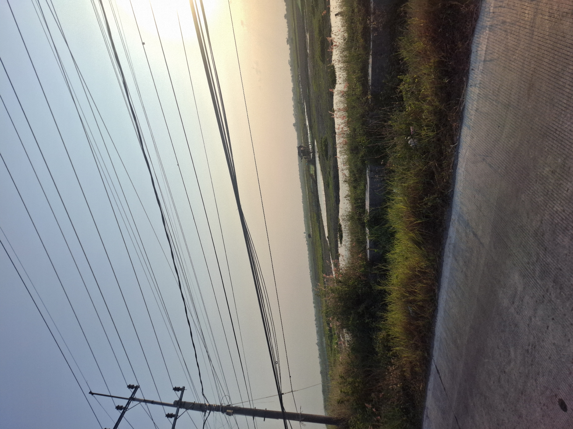 The image captures a rural landscape at dusk, featuring a power pole with numerous electrical wires stretching across the sky. The foreground shows a concrete road with distinct grooved lines, bordered by overgrown grass and some low-lying vegetation. In the middle ground, a body of water, possibly a rice paddy or marsh, is visible, with a small structure resembling a hut or shelter on stilts in the distance. The sky is a gradient of pale blue and hazy orange, indicating the setting sun. The overall scene is serene and suggests a remote, undeveloped area in Pucangro, Indonesia. There are no people or animals visible in the image.