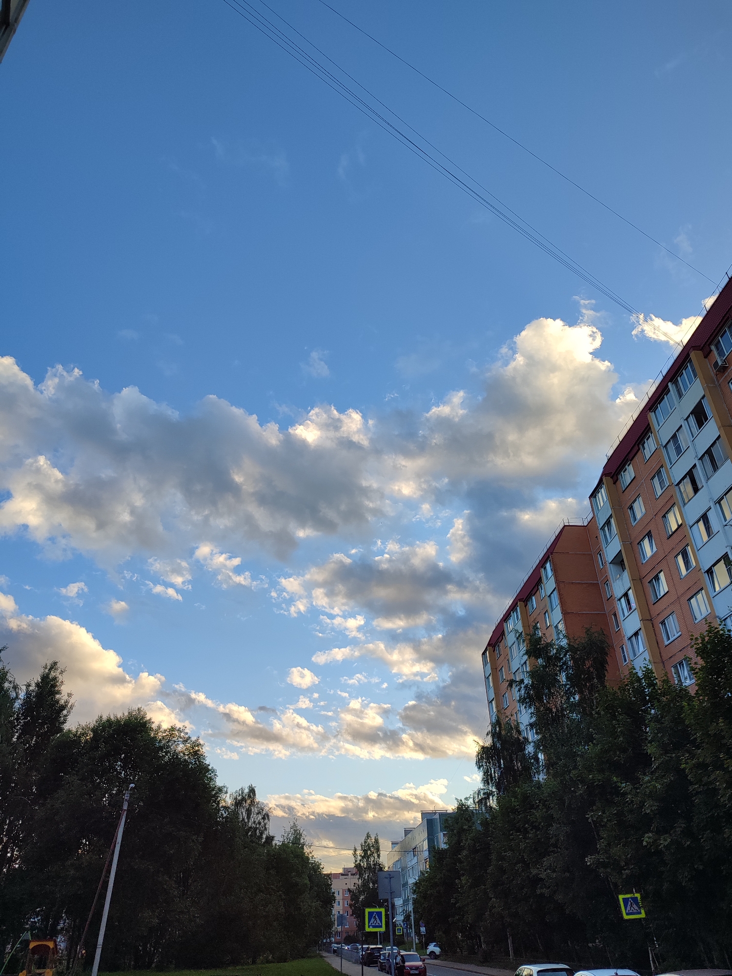 The image captures a street scene in Vsevolozhsk, Russia, under a partially cloudy sky. The foreground is dominated by dense green trees lining the left side of a paved road. A street light is visible on the left, partially obscured by the trees. Further down the road, several cars are parked or driving, and two pedestrian crossing signs with yellow diamond shapes are present.
On the right side of the image, two apartment buildings are prominently featured. The larger building in the foreground is multi-storied with orange brick and light blue accents, featuring numerous windows. A second, slightly shorter apartment building of similar design is situated behind it. The sky above is a vibrant blue, with large, fluffy white and grey clouds scattered across it, some illuminated by the sun. In the distance, more buildings and trees are visible, suggesting a residential area within the city. Overhead, three parallel dark lines, likely power or telephone lines, stretch across the sky. The overall impression is a typical urban residential landscape during daylight hours, possibly late afternoon given the lighting on the clouds.
