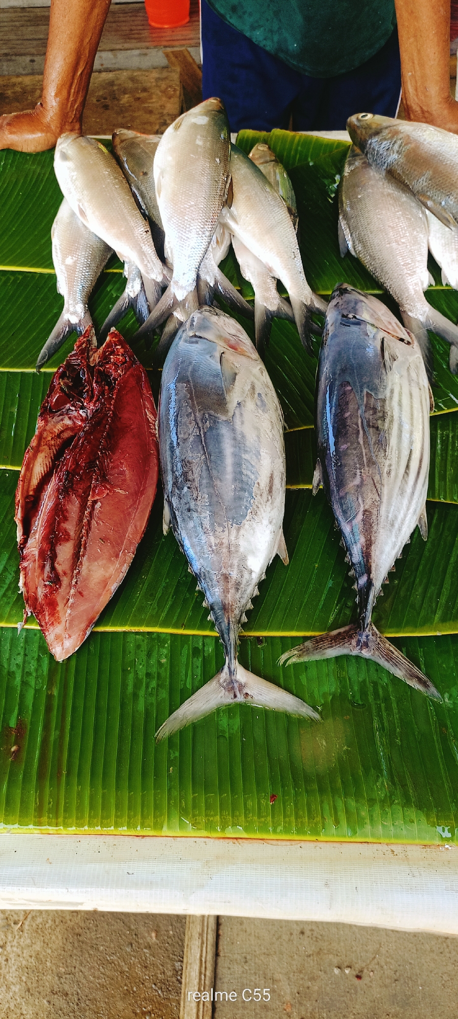 Freshly caught fish are prominently displayed on vibrant green banana leaves, likely at a market stall in Lhokseumawe, Indonesia. In the upper part of the frame, several slender, silvery fish, possibly milkfish, are neatly arranged. Below them, two larger, robust fish, appearing to be tuna or a similar species, lie in the center. One of these larger fish on the left has been split open lengthwise, revealing its deep red flesh and skeletal structure. The other large fish next to it is intact, showcasing its distinct markings and streamlined body.
A person's bare leg and foot are visible on the far left, suggesting their proximity to the display. Another person's torso, clad in a dark green shirt and blue shorts, is partially visible behind the fish on the right, further indicating a market or sales environment. The banana leaves serve as a natural and traditional bed for the produce, enhancing the freshness of the presentation. The image is brightly lit, suggesting it was taken during daytime. A white, textured surface, likely the edge of a table or counter, runs across the bottom section, separating the fish display from the ground. In the bottom right corner, a digital watermark reads "realme C55".