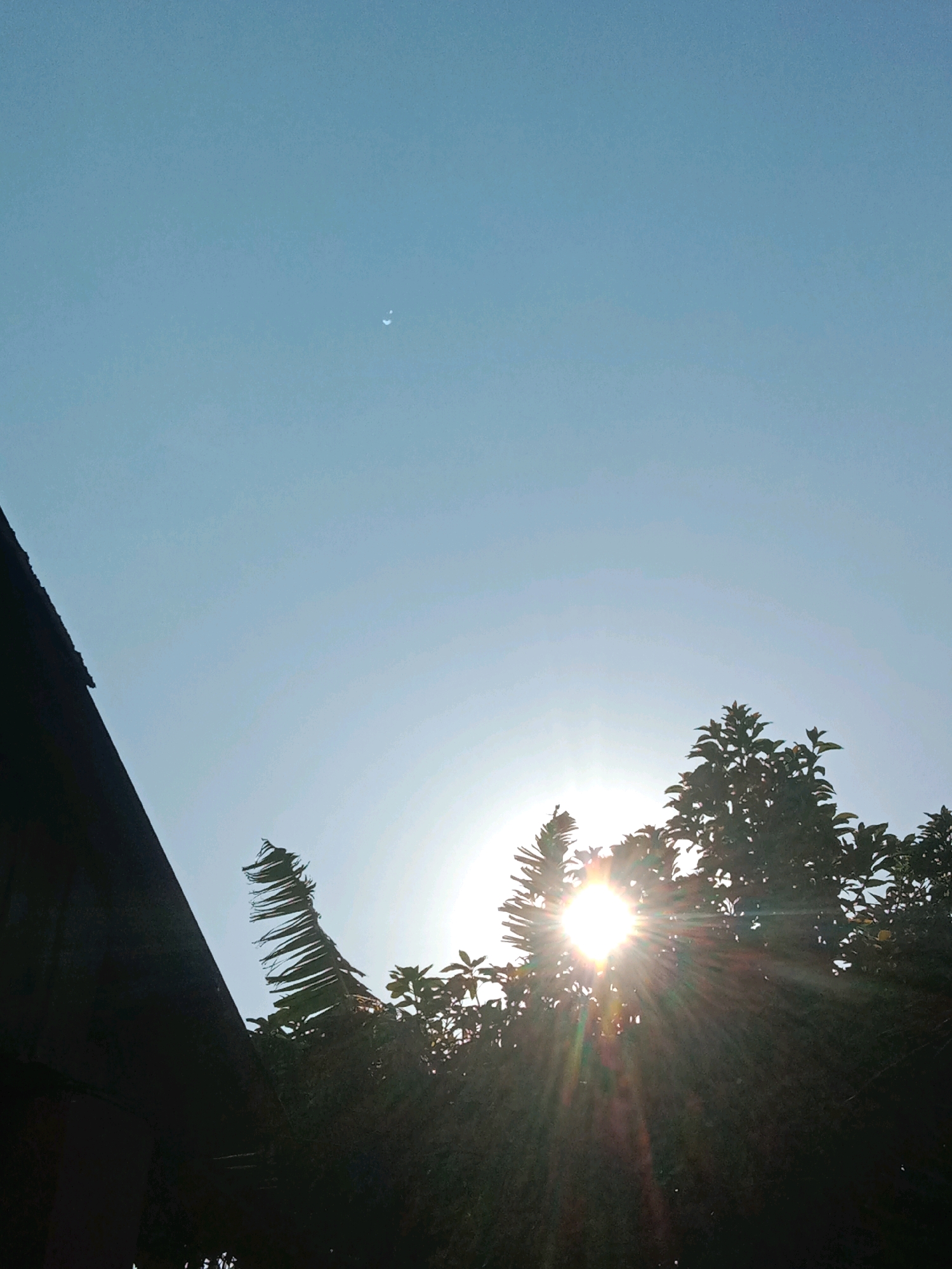 The image depicts a bright, sunny sky with a crescent moon visible in the upper left quadrant. Silhouetted against the sky are the dark shapes of a building roof on the left, and lush green trees on the right. The sun is intensely bright, positioned behind the trees and emitting strong rays of light that create a lens flare effect. One tree, with feathery leaves, is dramatically bent and appears to be swaying. The overall scene suggests an outdoor environment, possibly a residential area in Lemahkembar, Indonesia, characterized by clear weather and abundant vegetation. No people are visible in the image.
