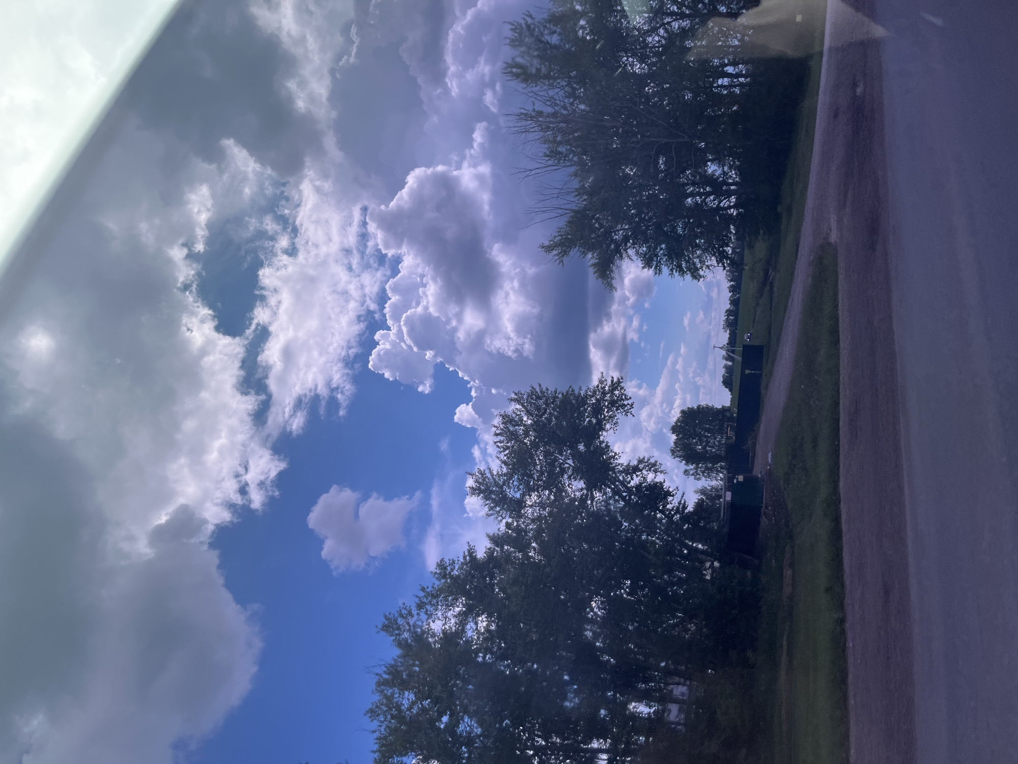 The image captures a rural landscape under a dramatic sky. A dirt road forks, leading into a grassy area with scattered trees and some small, utilitarian structures, possibly sheds or outbuildings, painted in dark colors. The trees, predominantly deciduous, are full of leaves, with two larger trees framing the foreground on either side. The sky is a striking mix of deep blue patches and large, billowing clouds in shades of gray and white, some illuminated from behind, suggesting either early morning or late afternoon light. The overall impression is one of natural beauty and quiet seclusion in a rural setting.