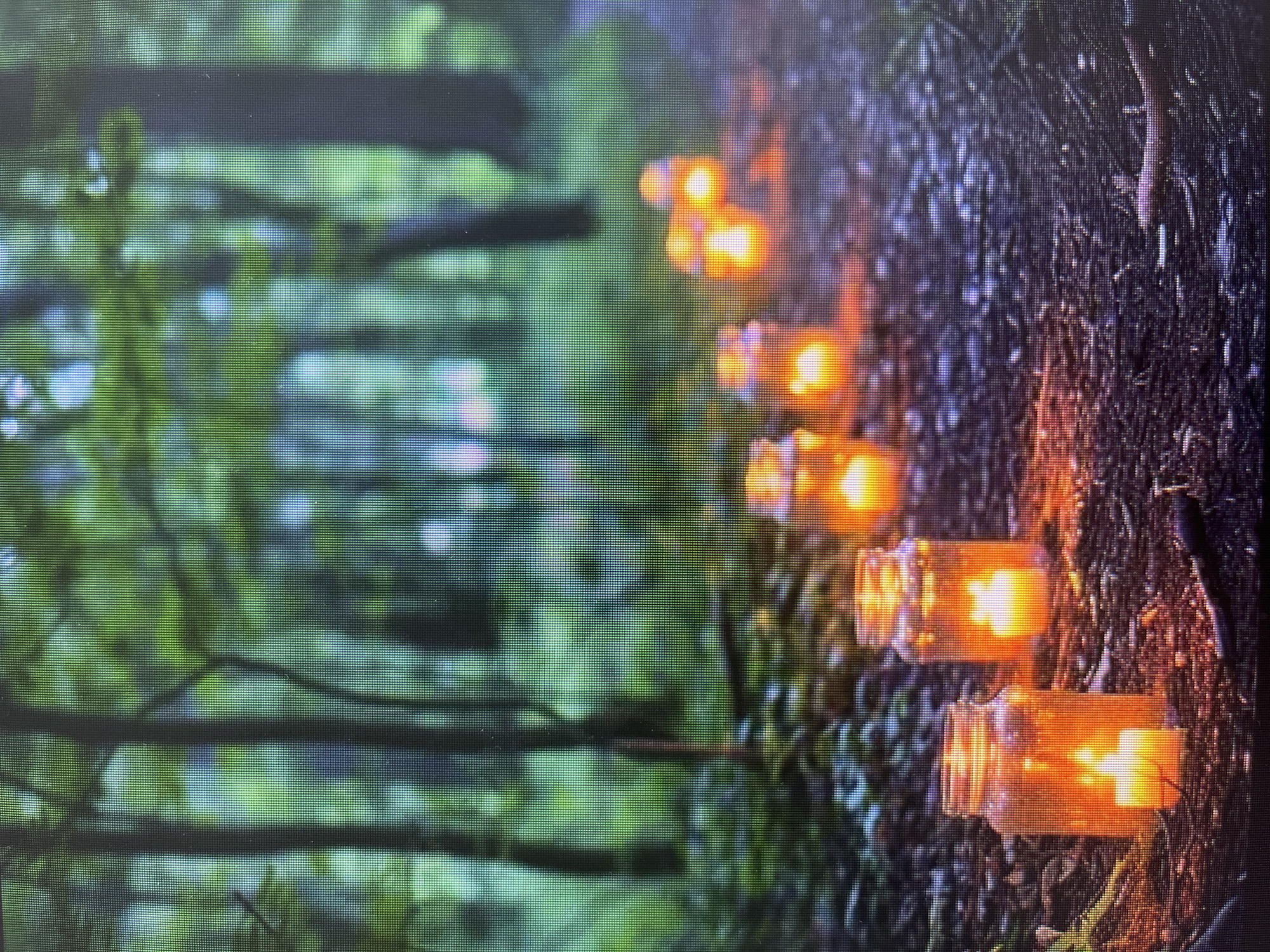 The image displays an enchanting outdoor scene, likely a forest or wooded area, illuminated by a series of decorative lights. On the right side, the rough texture of tree bark is clearly visible, serving as a canvas for multiple small, glowing lights. These lights are contained within mason jars, which are affixed vertically along the tree trunk, emitting a warm, orange-yellow glow. The warm light from the jars creates a striking contrast with the darker tones of the tree bark.
To the left of the frame, the background consists of heavily blurred green foliage and trees, indicating a natural environment. The soft focus on the background emphasizes the illuminated tree in the foreground. The prominent glow of the lights suggests the scene is captured during the evening, twilight, or in a dimly lit, shaded area where the artificial illumination becomes a focal point.
No people are present, and there is no explicit activity taking place, but the decorative lighting implies an aesthetic installation, possibly for an event, an illuminated trail, or to create a magical ambiance in nature. The image itself appears to be a photograph of a digital screen, as evidenced by the distinct grid pattern of individual pixels and horizontal lines visible across the entire frame and more clearly in the provided crops. There is no visible text. Given the location context, this picturesque setup could be found in a park, garden, or natural space within or around Varna, Bulgaria.