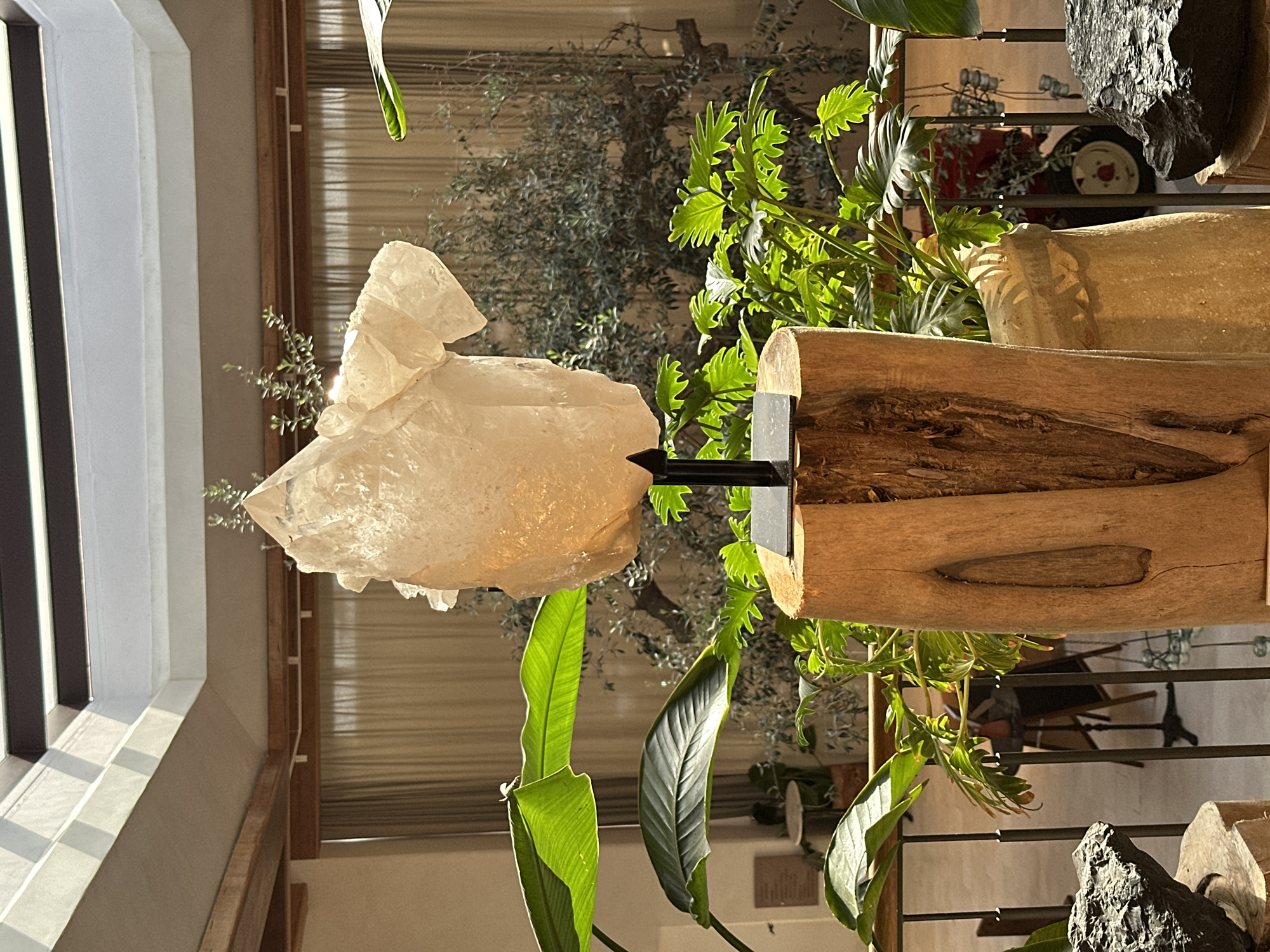 A large, translucent white crystal is displayed on a black metal stand, which is mounted on a thick, rough-hewn wooden post. The crystal is irregularly shaped with multiple facets and appears to be lit from behind. In the foreground, to the left and right of the wooden post, are dark, rough-textured rocks, also displayed on wooden stands. Behind the crystal and wooden post, there are lush green plants, some with large, broad leaves and others with smaller, serrated leaves. In the background, a tall, slender tree with dark foliage is visible, and behind that, light-colored curtains hang in front of windows or openings. The scene is illuminated by natural light filtering in from above, creating a dappled effect on the ceiling and the objects in the room. The overall setting appears to be an indoor space, possibly a gallery or a well-decorated room, with architectural elements like wooden beams and a skylight visible at the top of the image. There are no people present in the image.