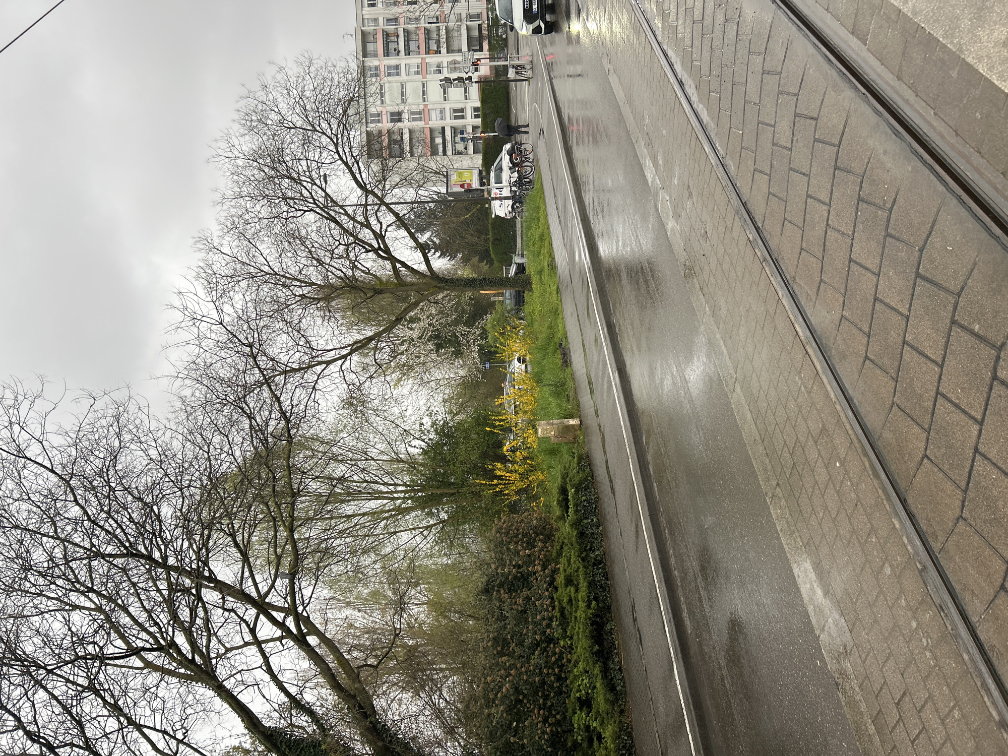 The image depicts a street scene in Strasbourg, France, on a wet, overcast day. The view is from an elevated position, possibly a building window. A tram track runs along the right side of the frame. Adjacent to the track is a paved pedestrian area, followed by a road with two visible traffic lanes. Beyond the road, a strip of greenery exists, featuring bare trees, bushes, and some yellow flowering shrubs. A white service vehicle is parked along the greenery. A multi-story building is visible in the background. A pedestrian with an umbrella is near a bicycle parking area. An Audi car is positioned on the far right of the frame. The sky is gray, indicating rain or overcast conditions.